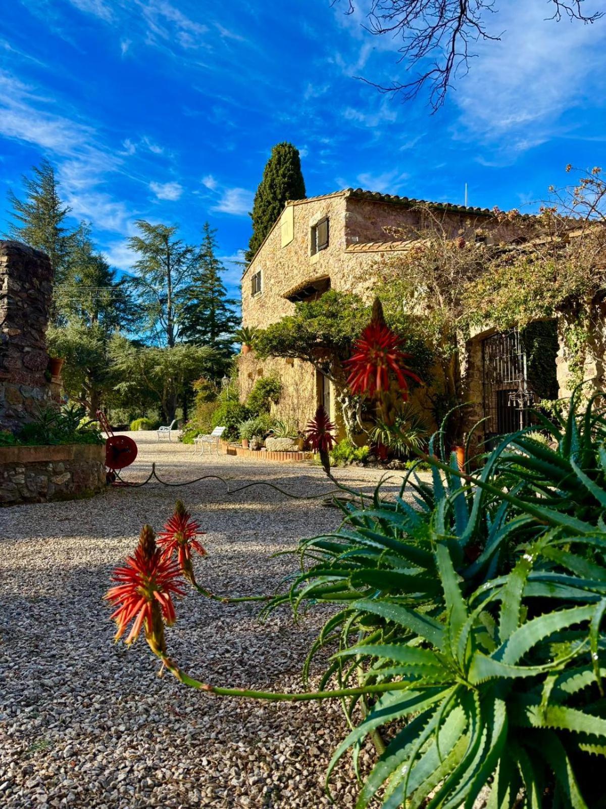 Villa Masia Mimosa Jardin