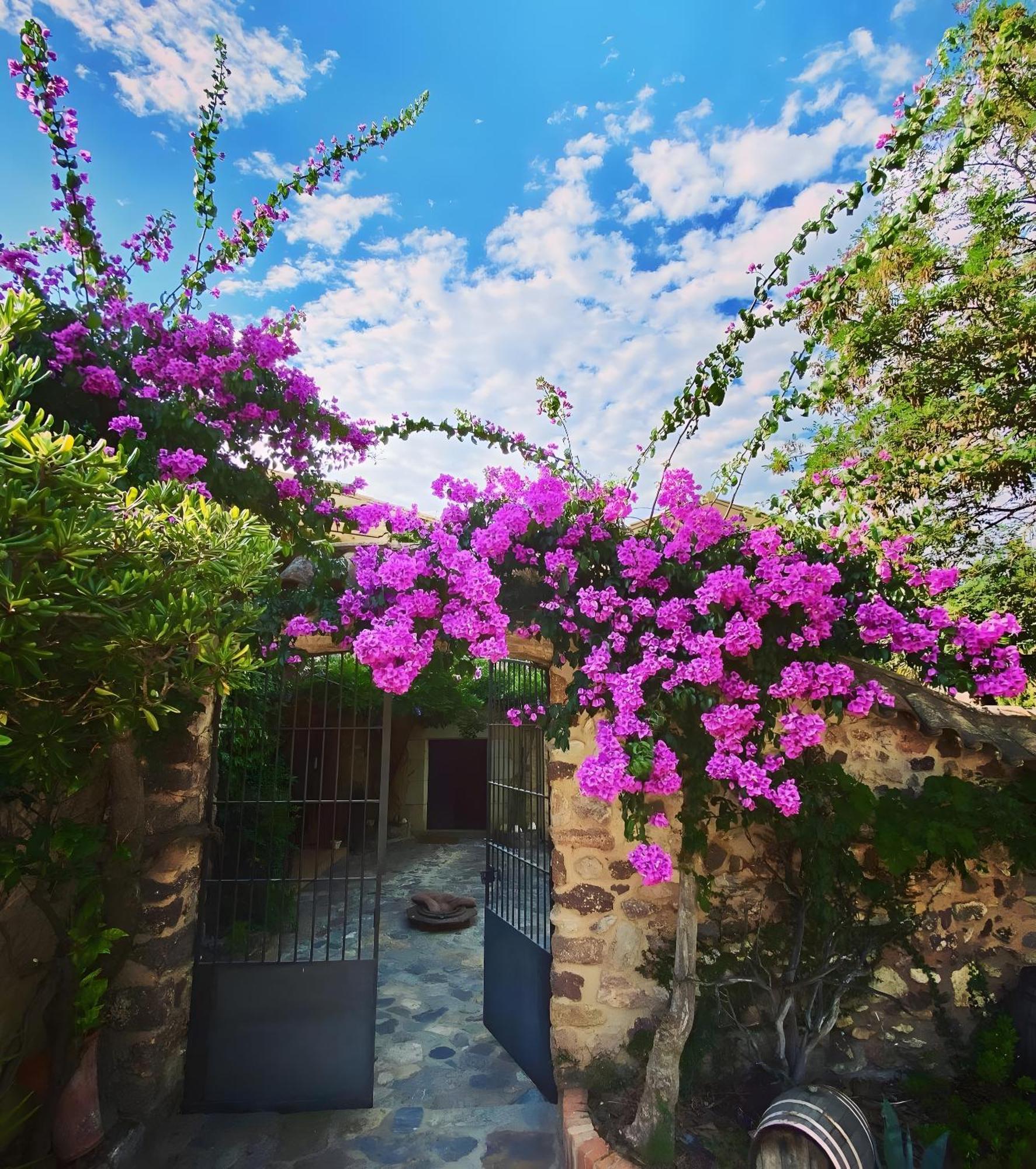 Masia Mimosa Jardin * Darnius