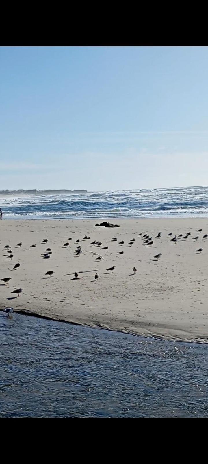 Atico Maravilloso En , Vigo Homestay