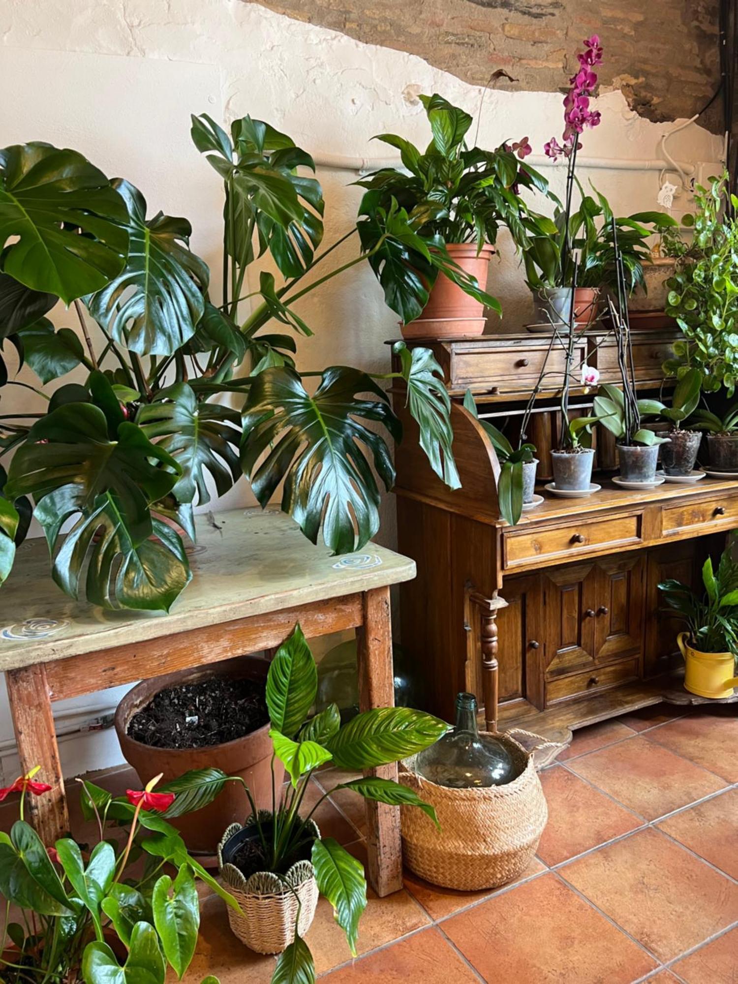 Casa rural Masia Ca La Caputxeta *