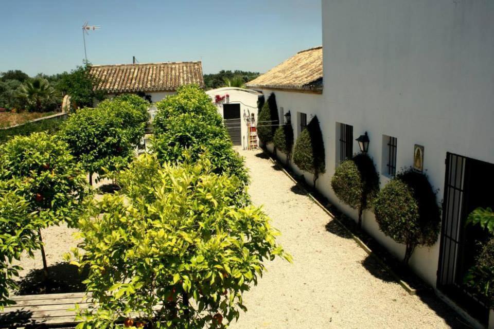 El Cotillo De San Jose Casa rural