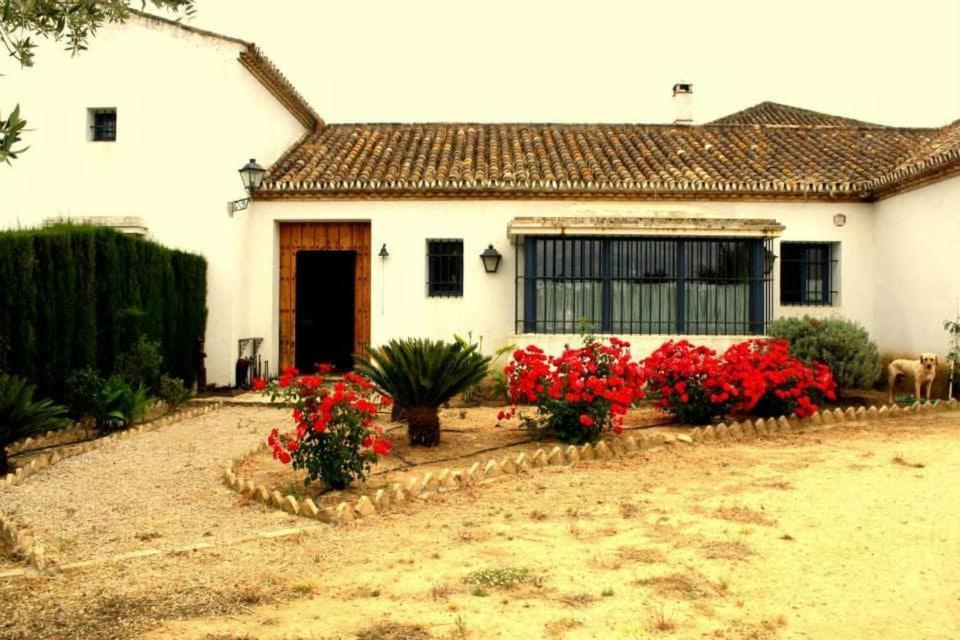 El Cotillo De San Jose