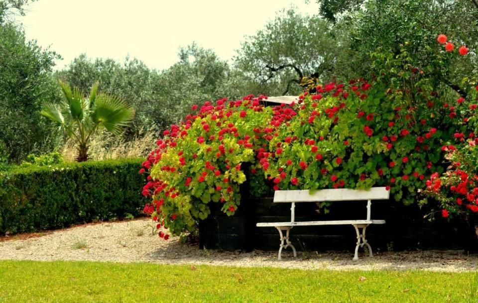 Casa rural El Cotillo De San Jose Hinojos