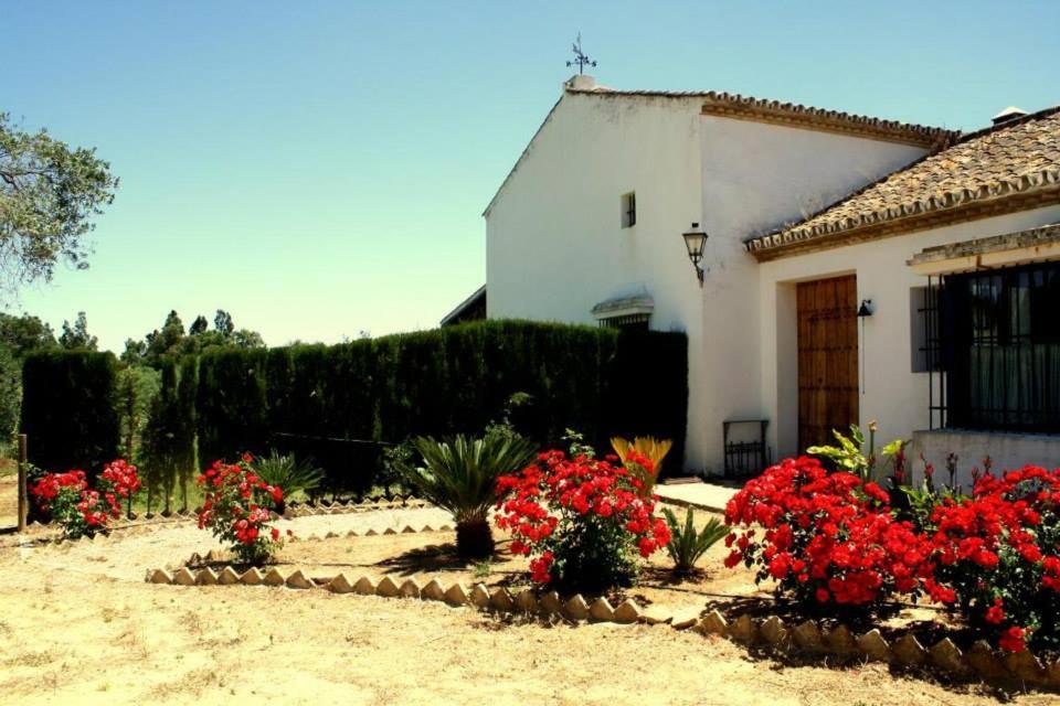 El Cotillo De San Jose *
