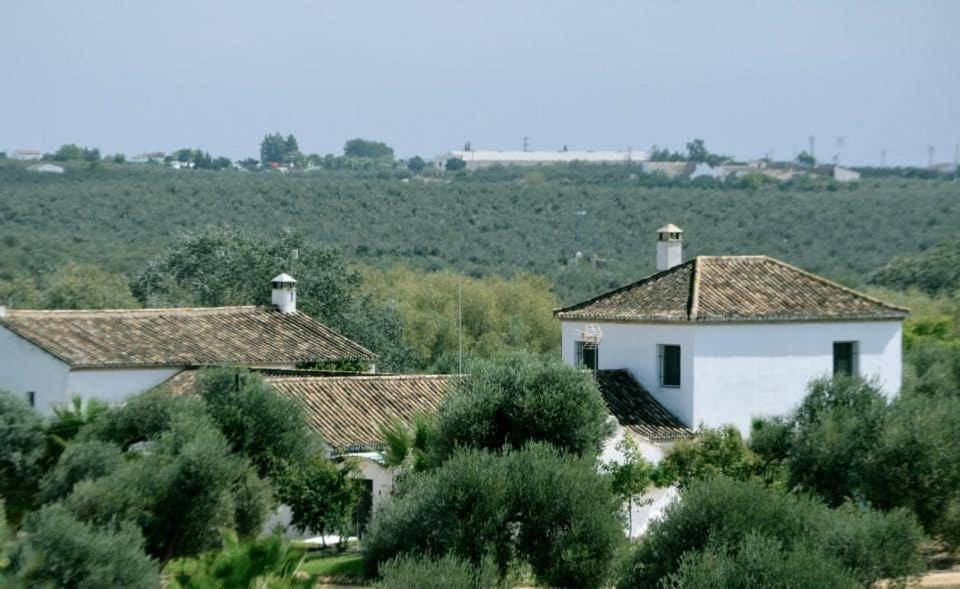 El Cotillo De San Jose * Hinojos