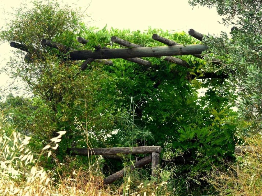 El Cotillo De San Jose Casa rural Hinojos