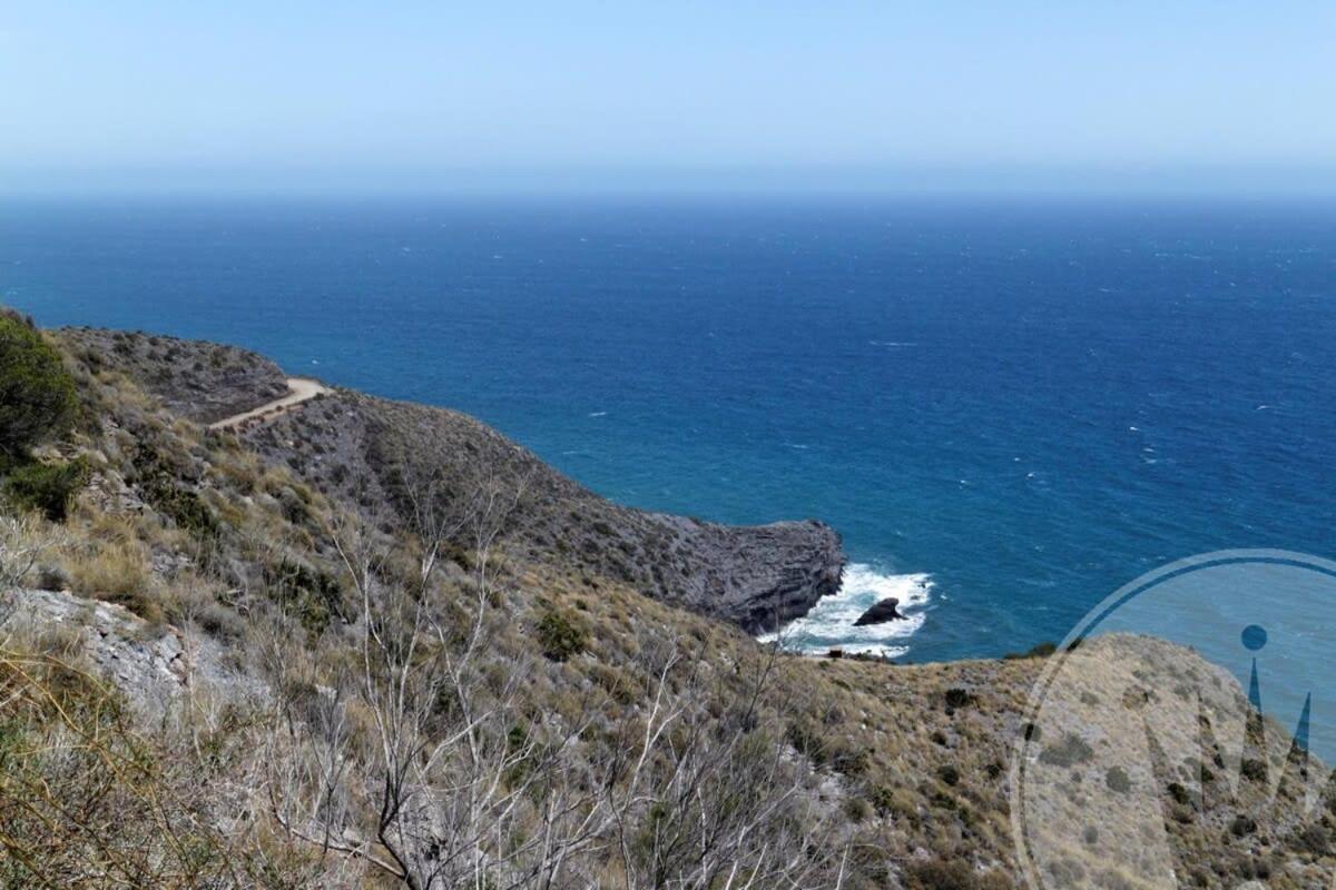 Viewpoint 6