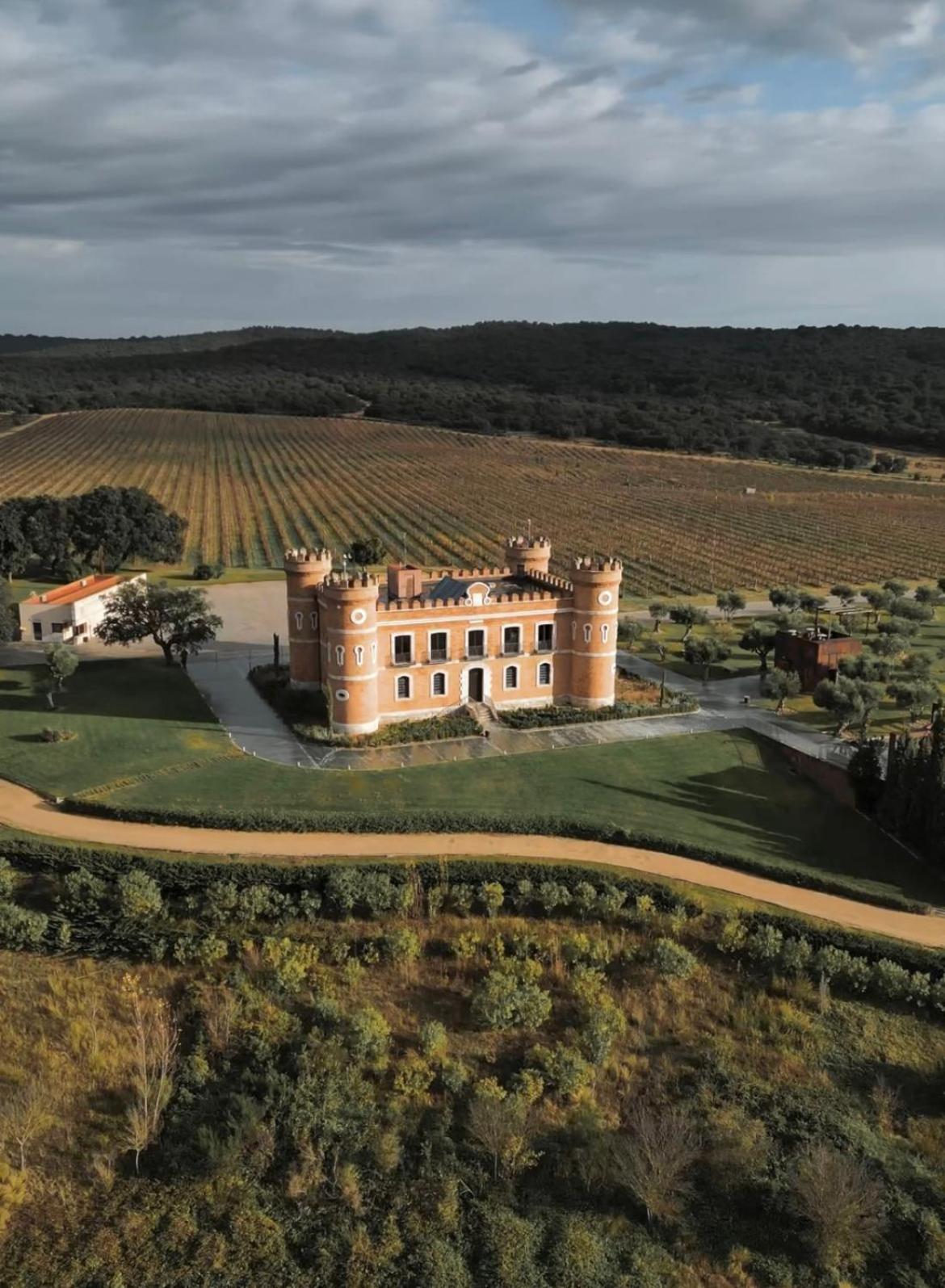 Castillo De Monte La Reina Real & Bodega Toro