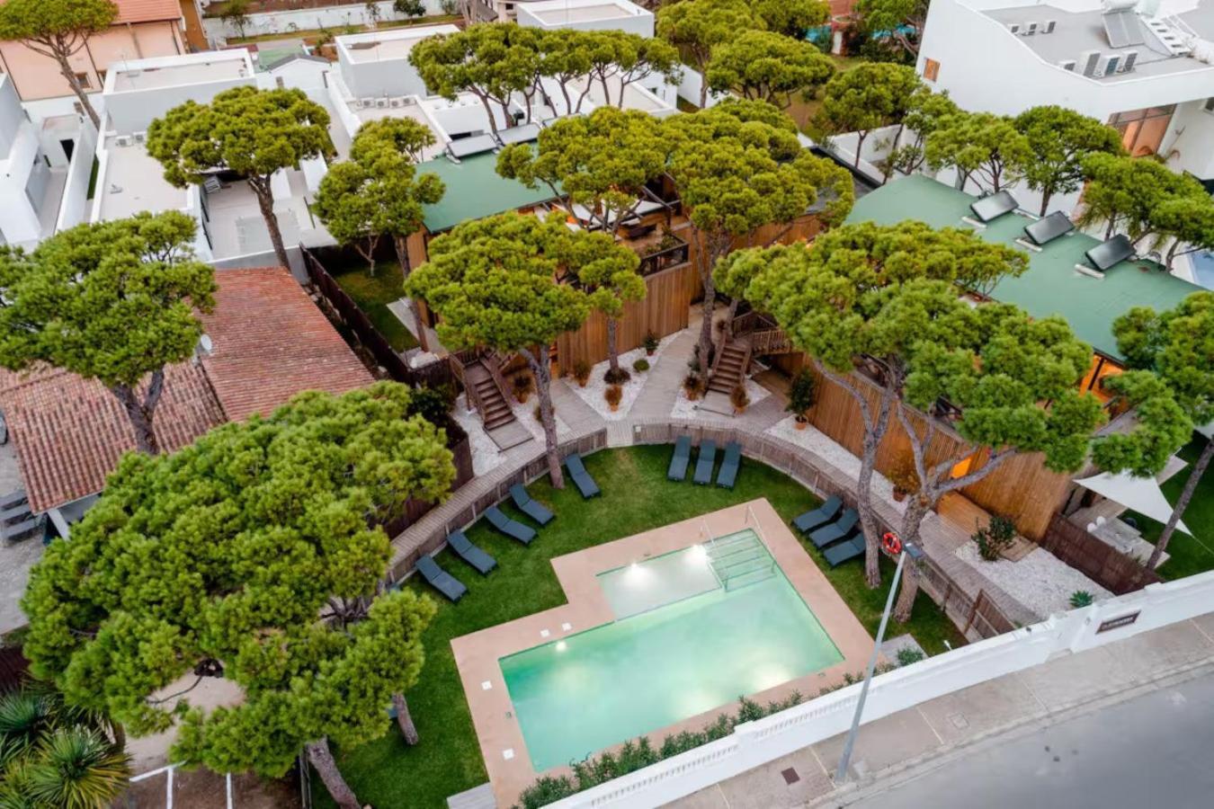 Apartahotel Nuevos Biopasivos Living Pura Madera Chiclana de la Frontera