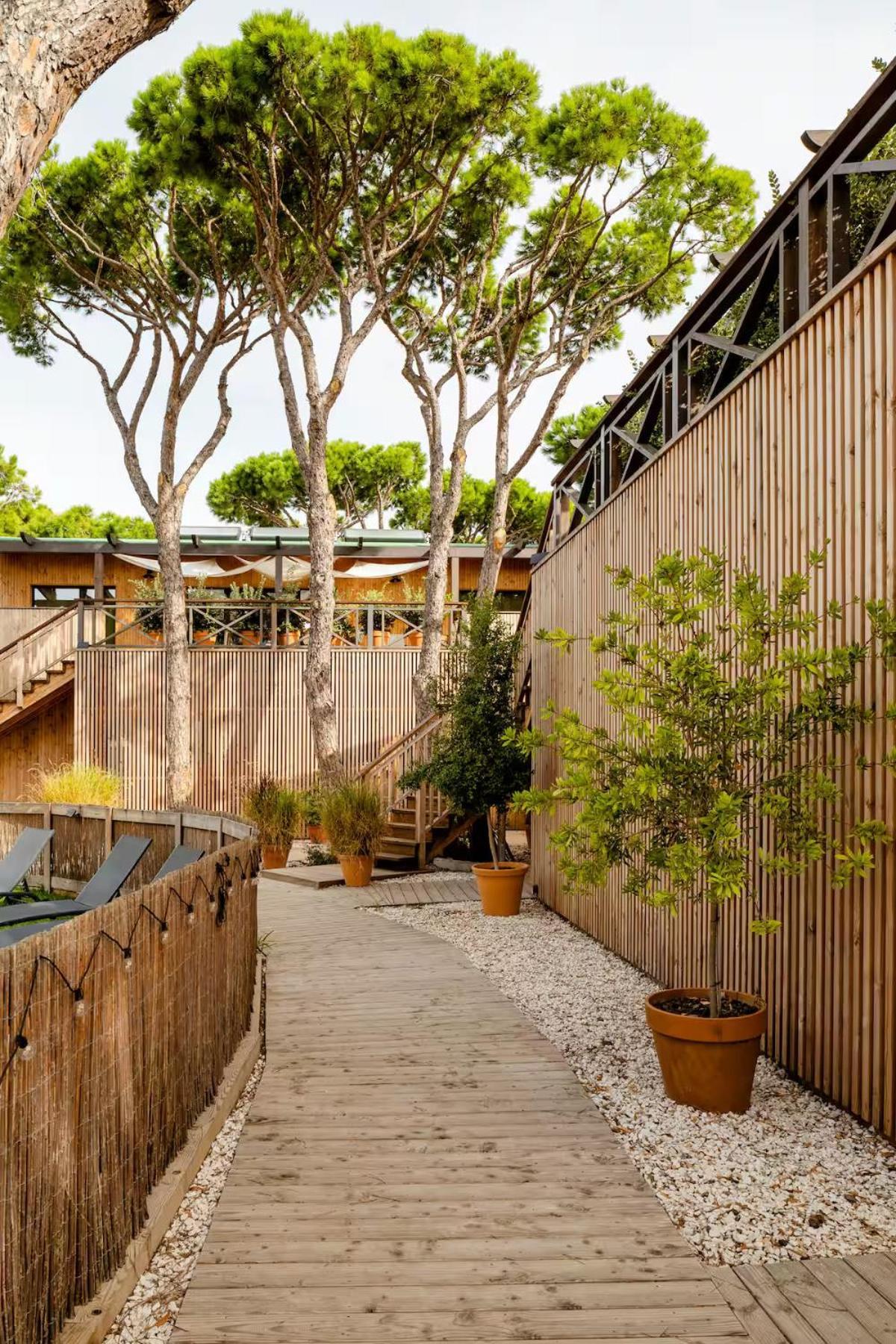 Apartahotel Nuevos Biopasivos Living Pura Madera Chiclana de la Frontera