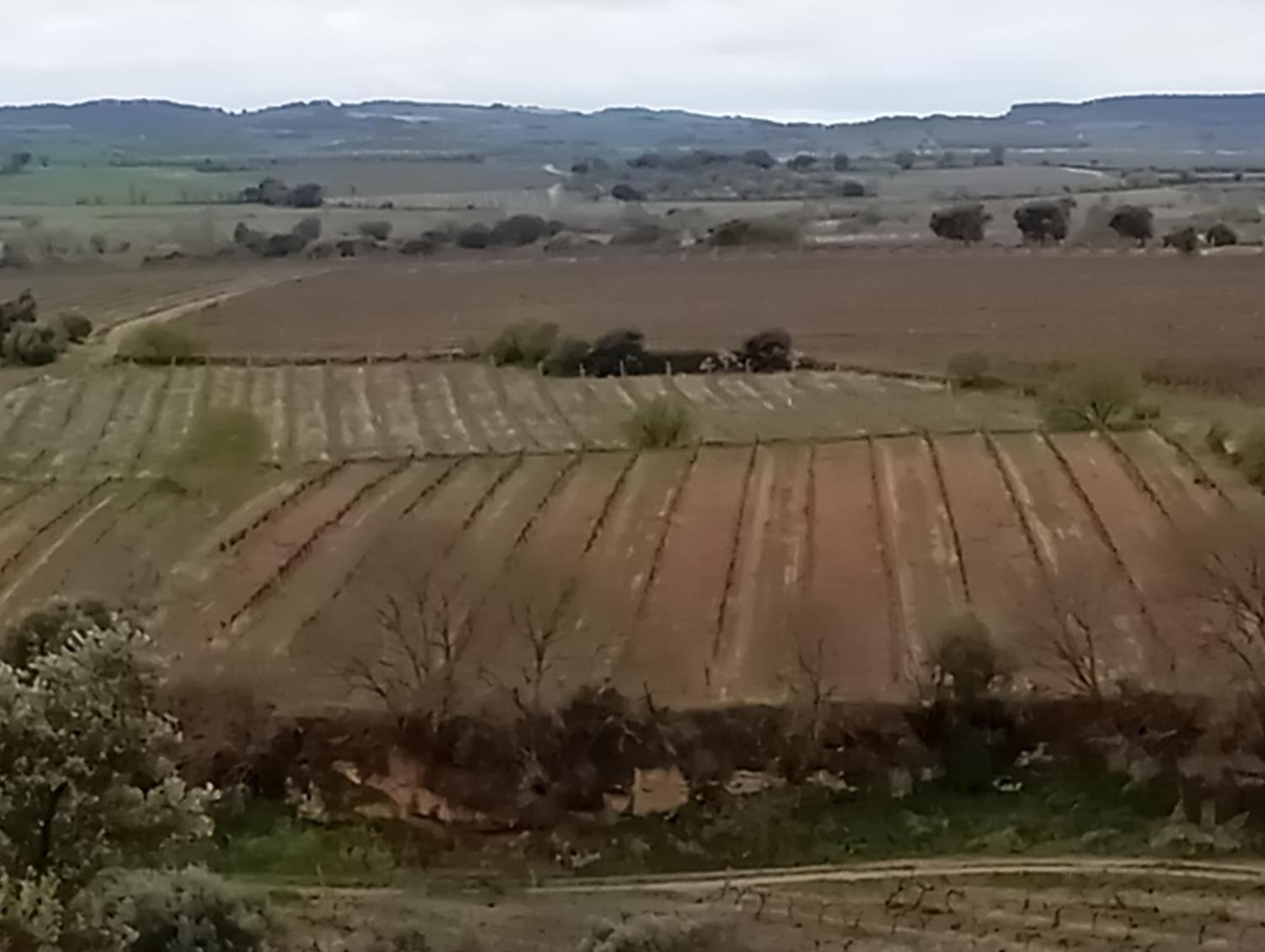 Casa El Sereno