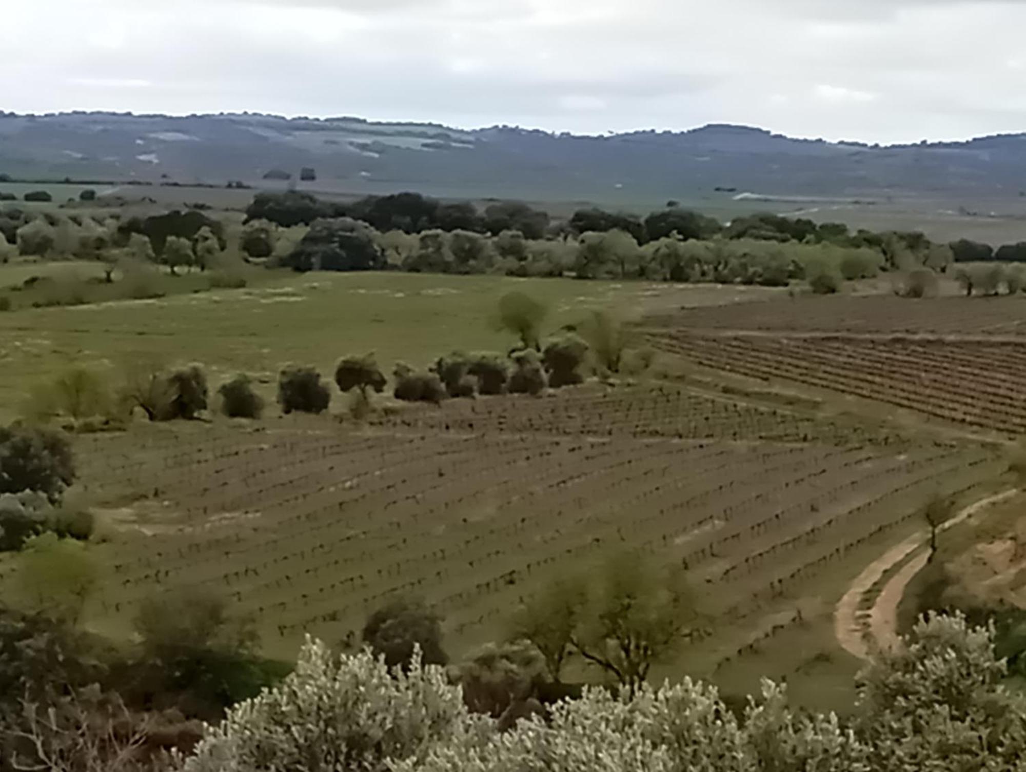 Casa El Sereno Сasa de vacaciones Salas Bajas