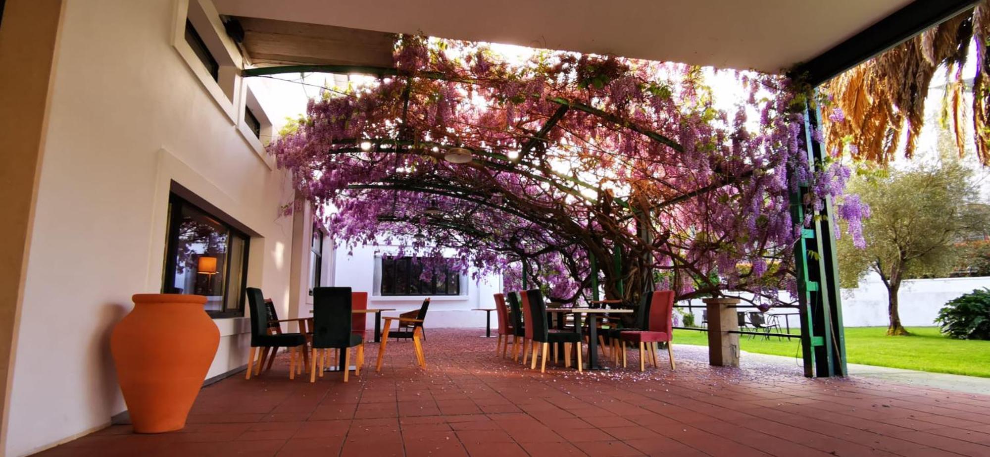 Hostel Vina Femita