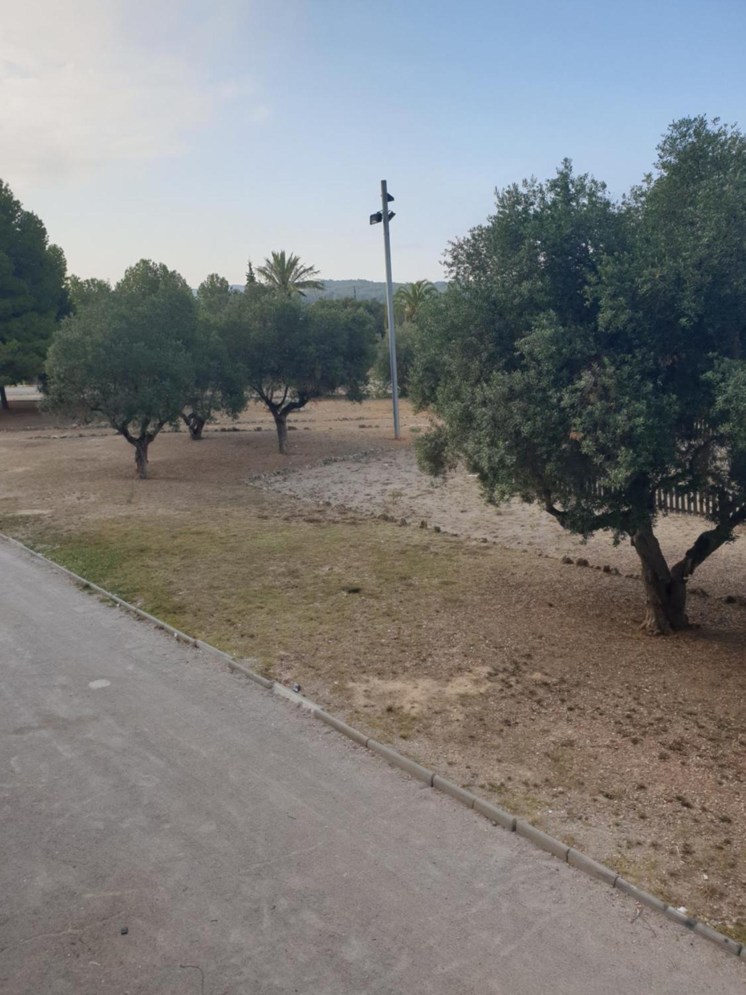 6 Personnes - L'Arboç