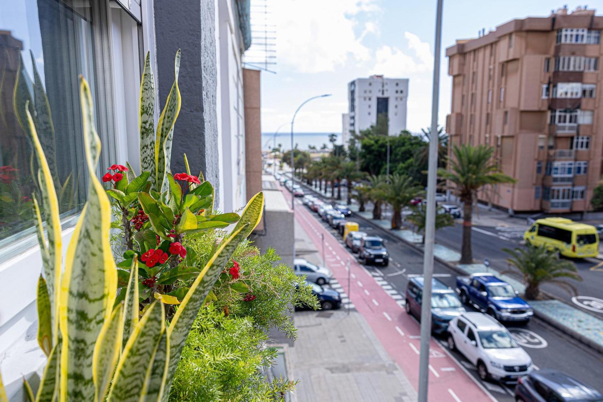 Apartamento Bambu Vegueta Alquiler Por