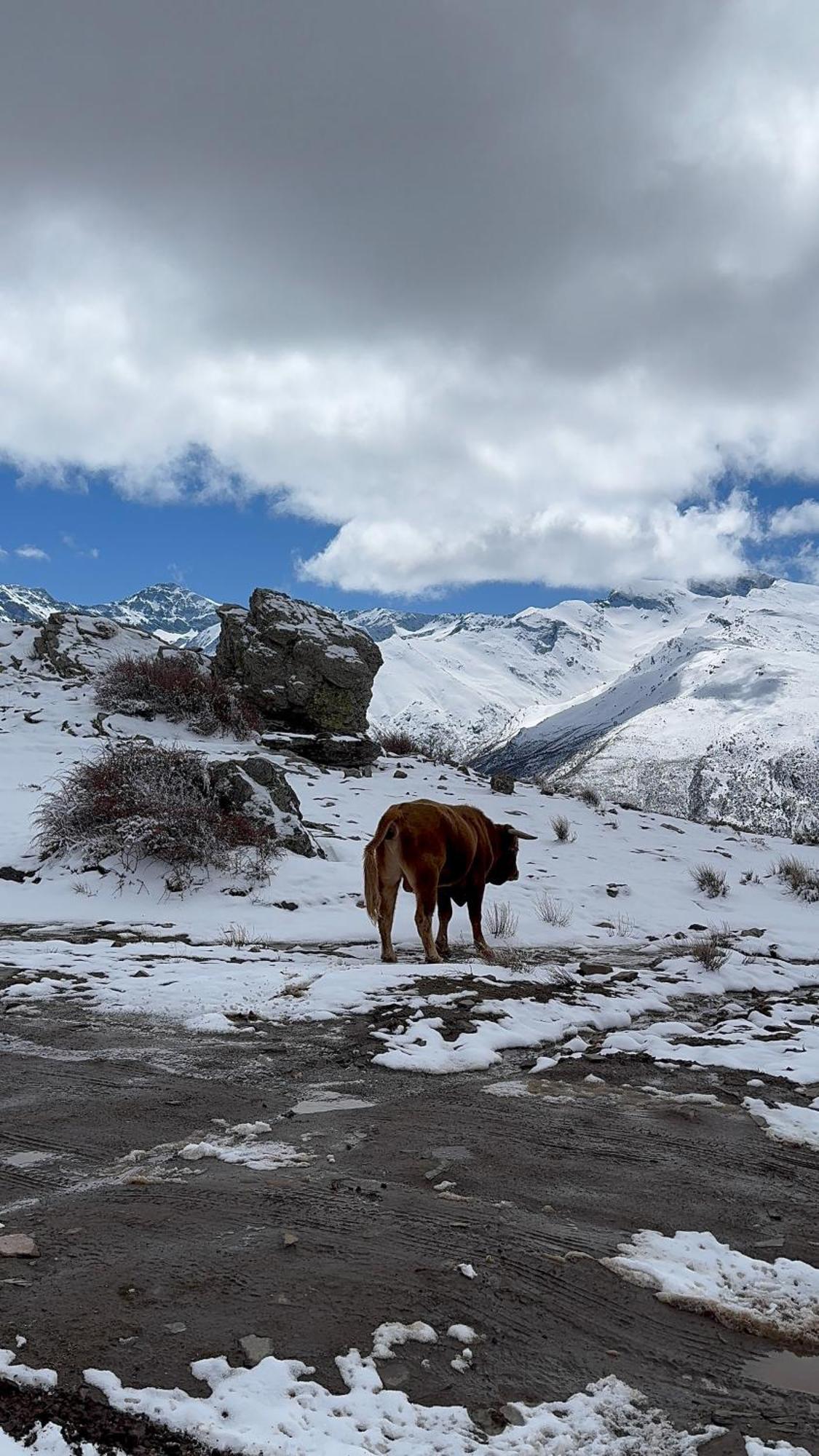 Casa A La Vera De La Sierra Сasa de vacaciones Güéjar Sierra