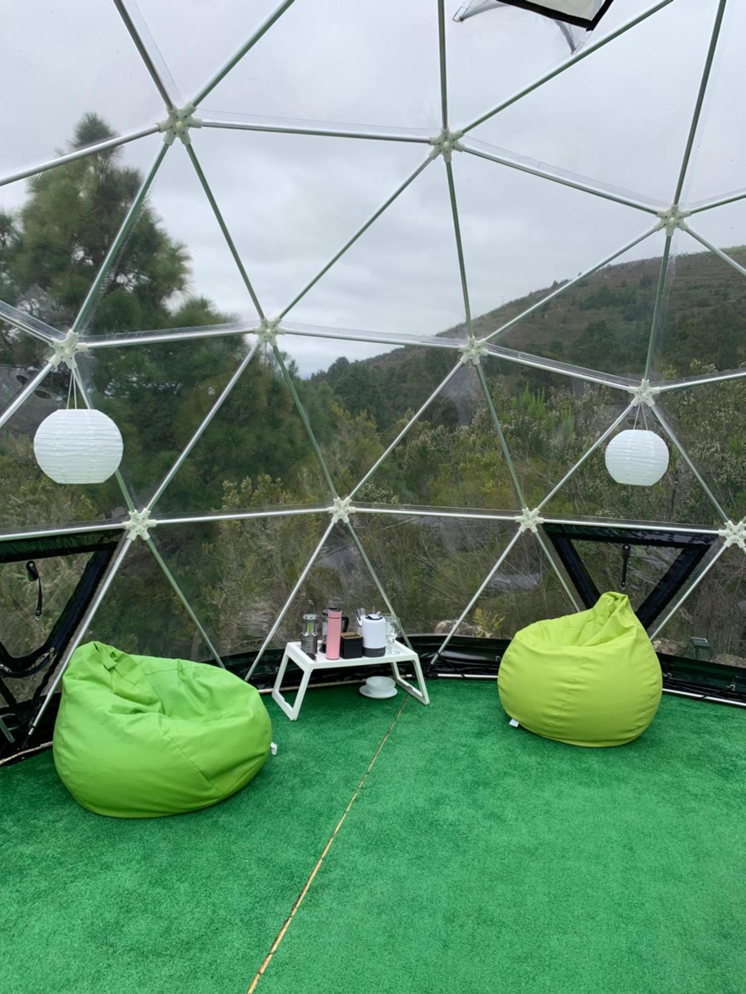 Skydome Campo de lujo