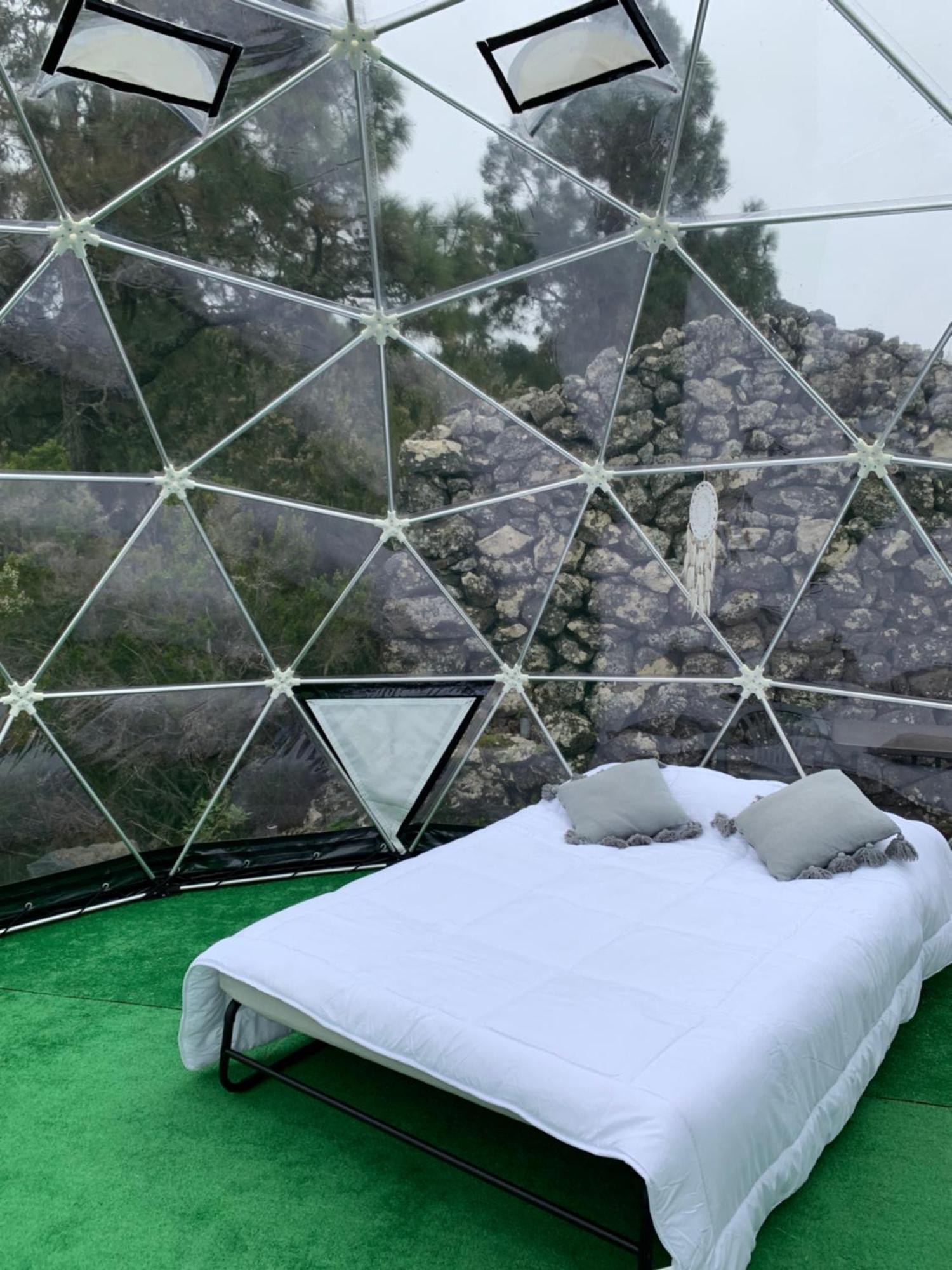 Skydome Campo de lujo