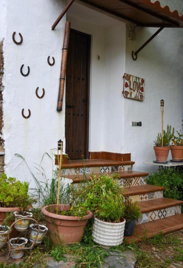 Hospederia De La Corte Corteconcepción