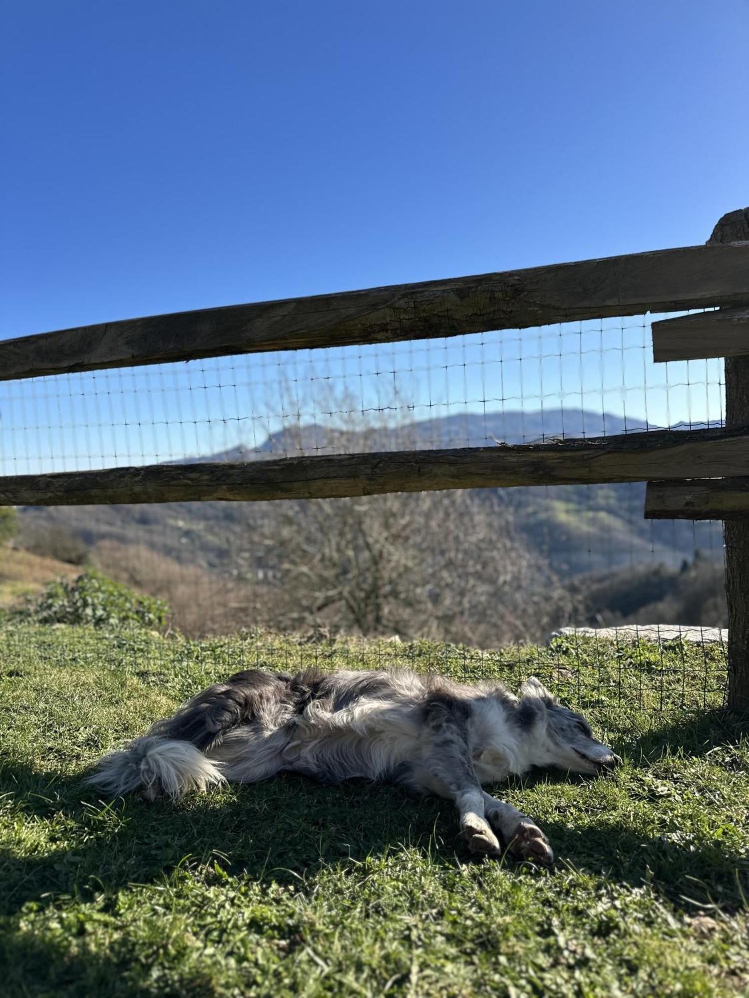 Almastur Rural