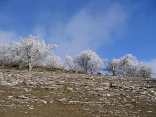Casa rural Erbioz