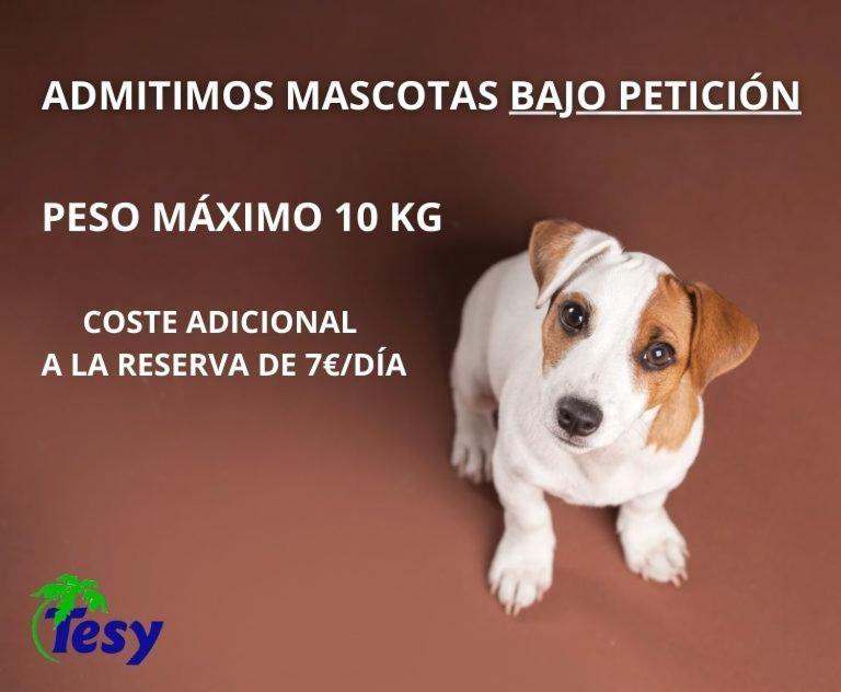 Tesy Apartamento *