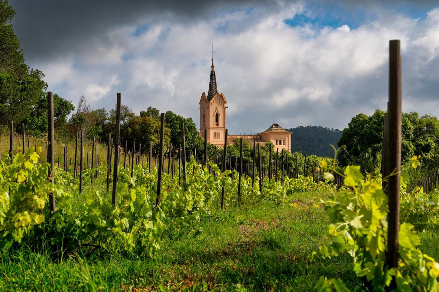 Sant Pere Del Bosc & - Adults Recommended Hotel