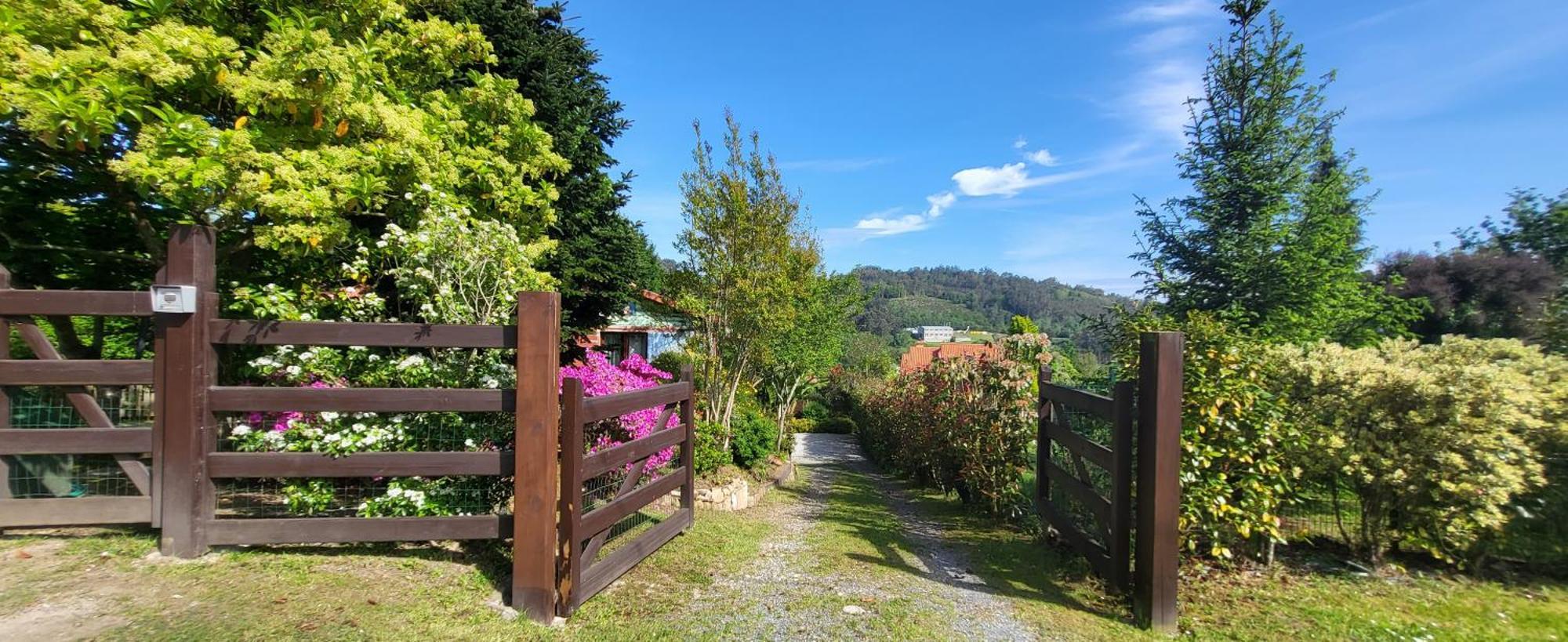 Rosa Jove Apartamento