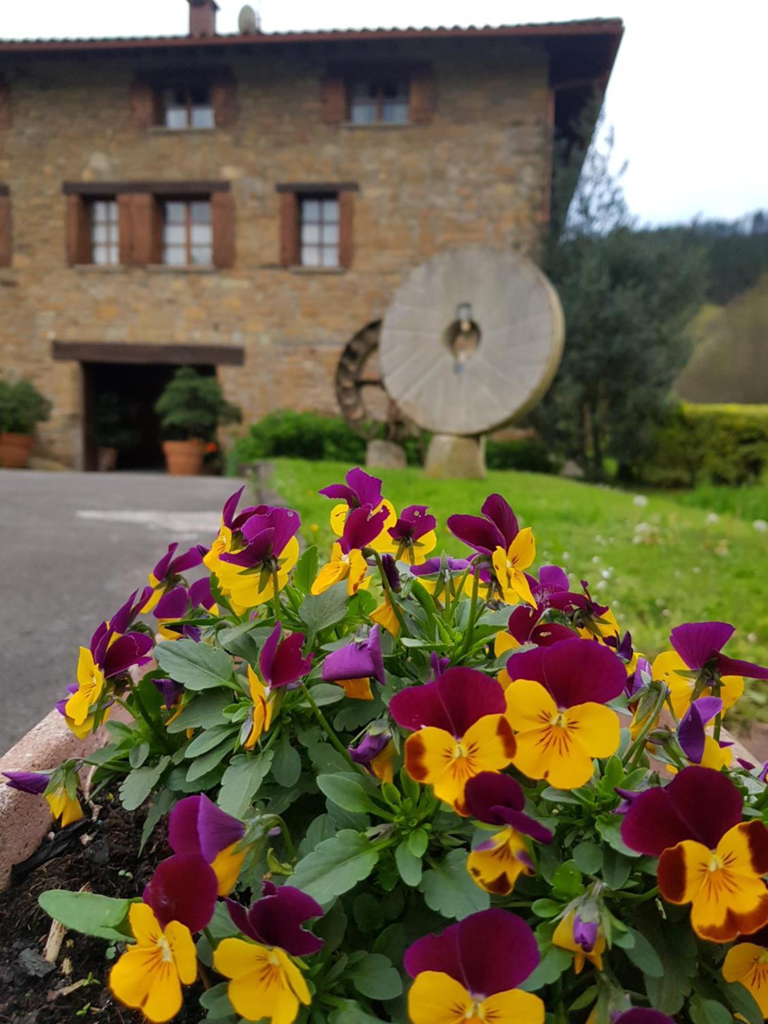 Iberreko Errota Agroturismo *