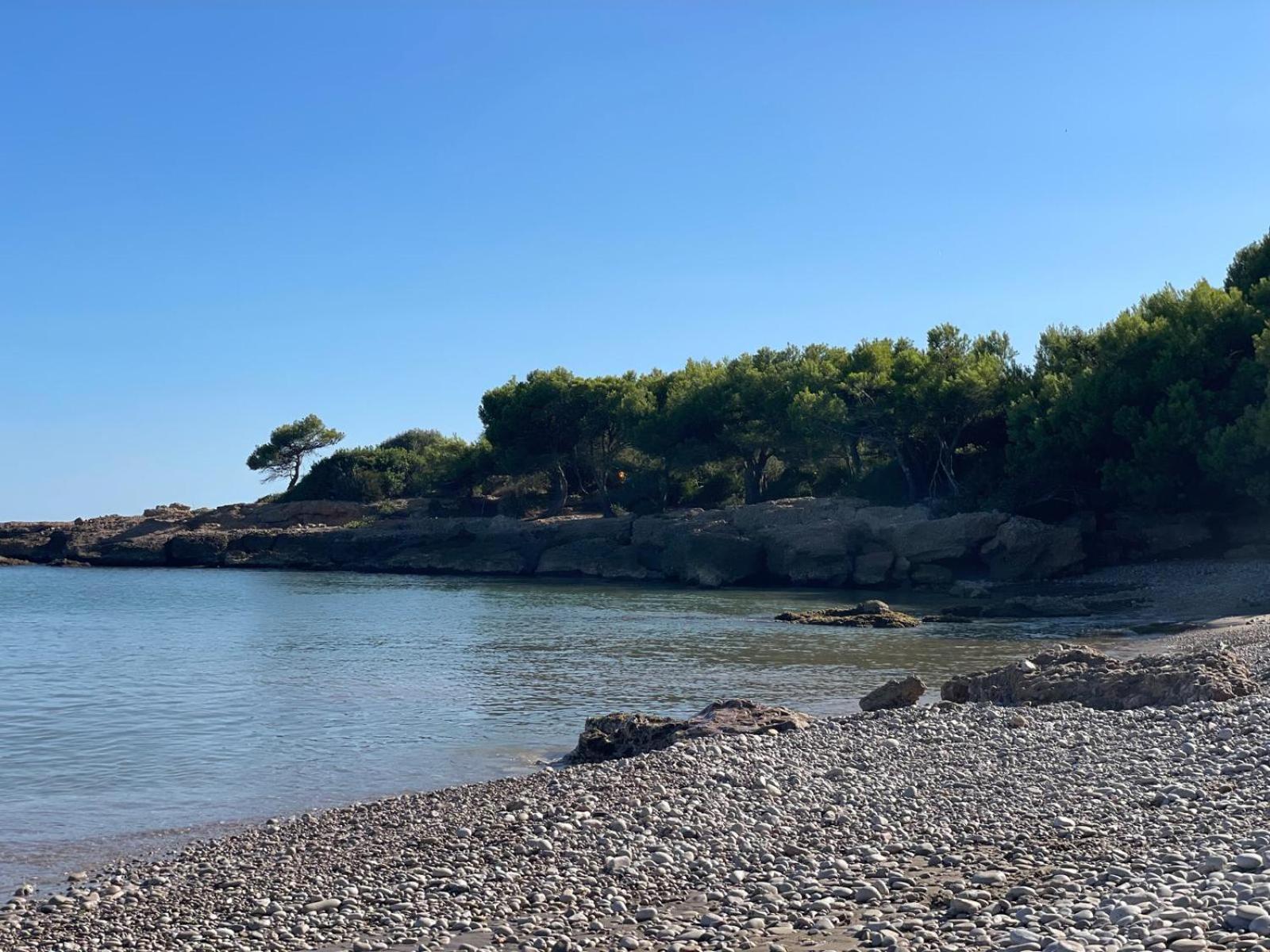 Apartamento Pis La Rapita Alcanar