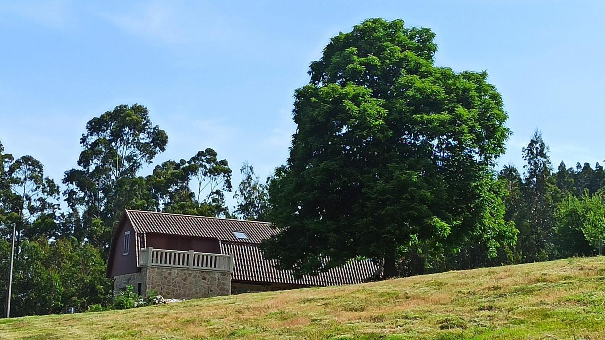 Holiday home O Outeiro Da Tia Mucha *