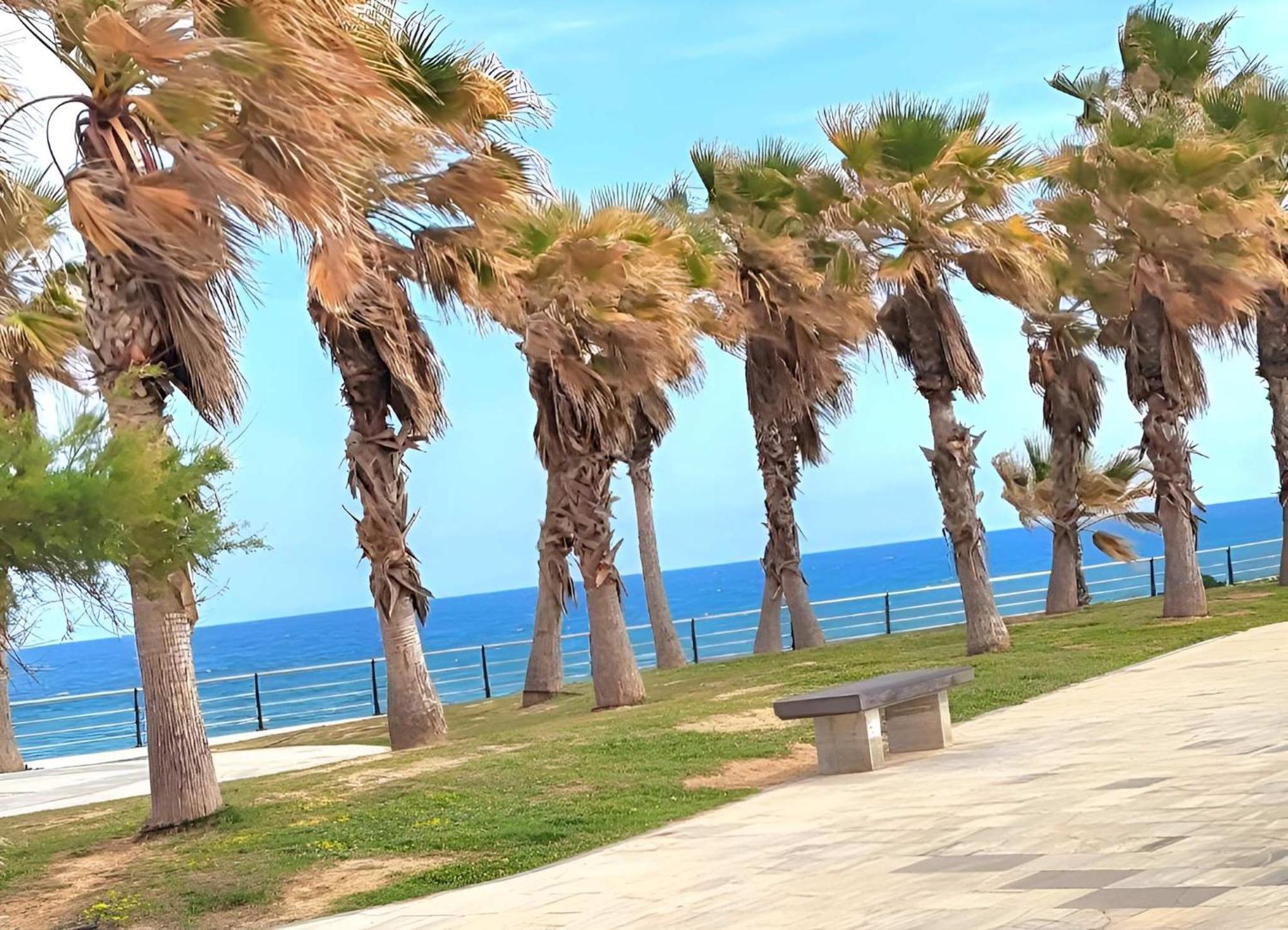 Casa Del Sol- La Calma-playa Flamenca-4 Swimming Pools-private Parking Place