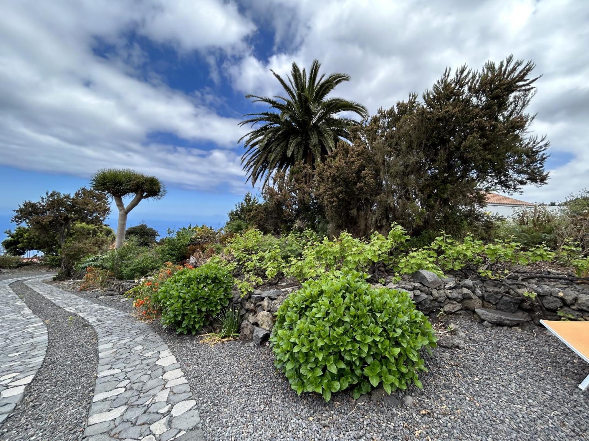 Preciosa Casa Canaria Vista Mar Y Montana El Encanto De Lita *