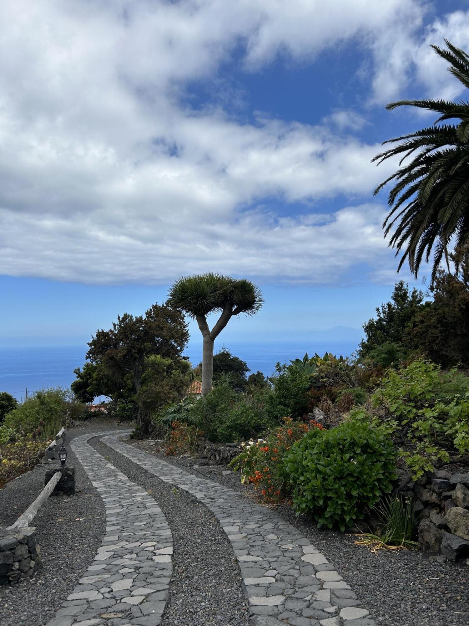 Сasa de vacaciones Preciosa Casa Canaria Vista Mar Y Montana El Encanto De Lita *
