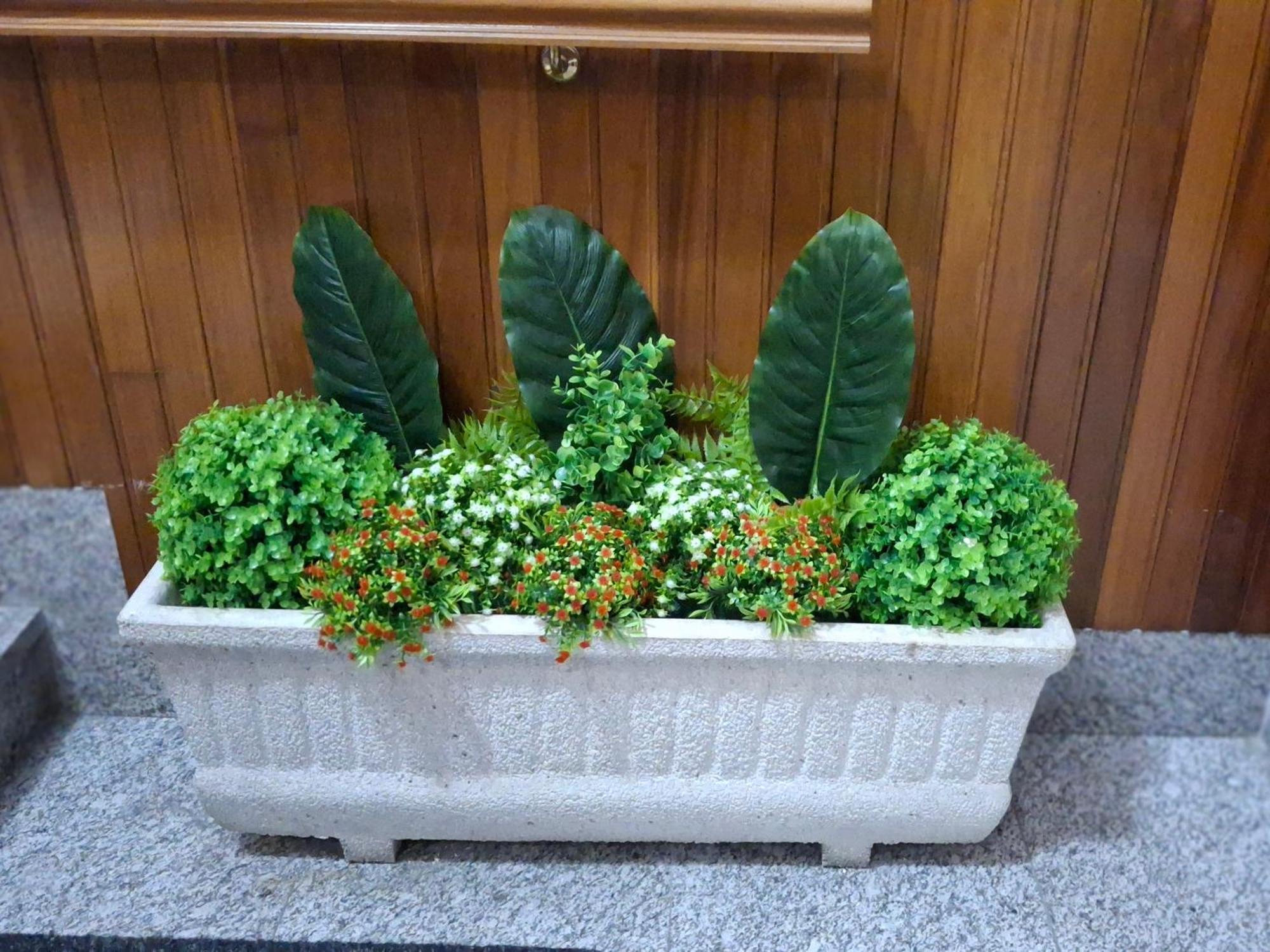 Paradita Del Camino Apartamento Sarria