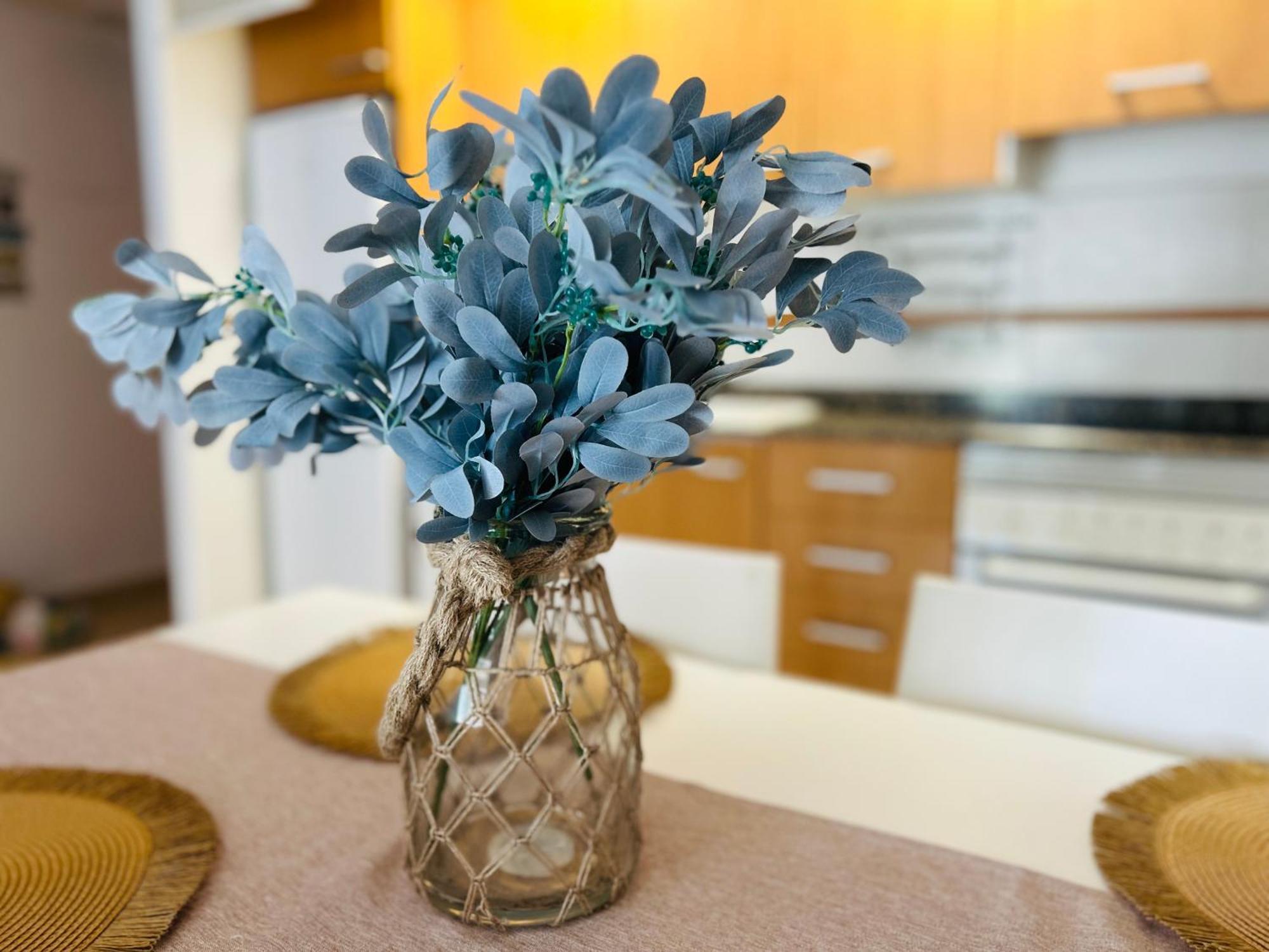 Apartamento Marina Gaviota *