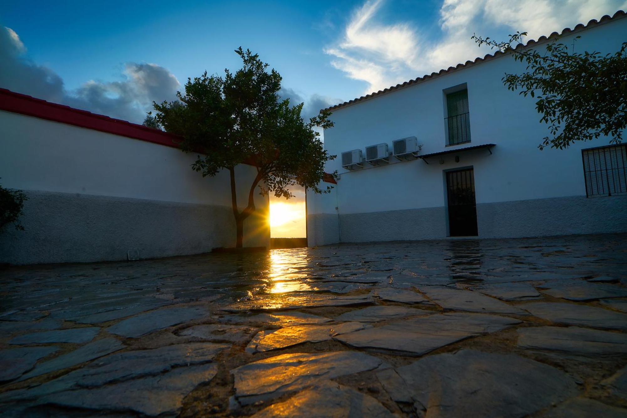 Cortijo Senora De Angustias 2