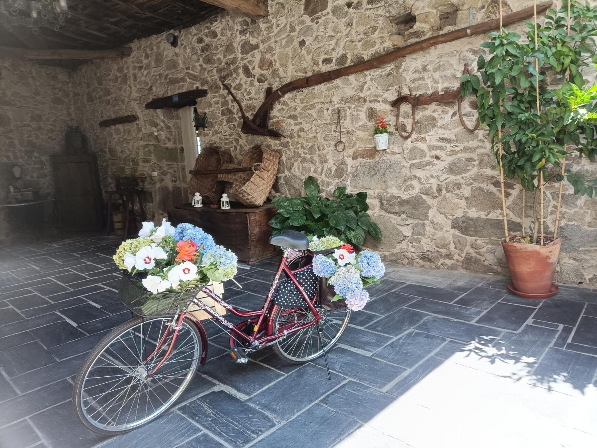 Casa Dos Muros Y Actividades En La Ribeira Sacra Country house Panton