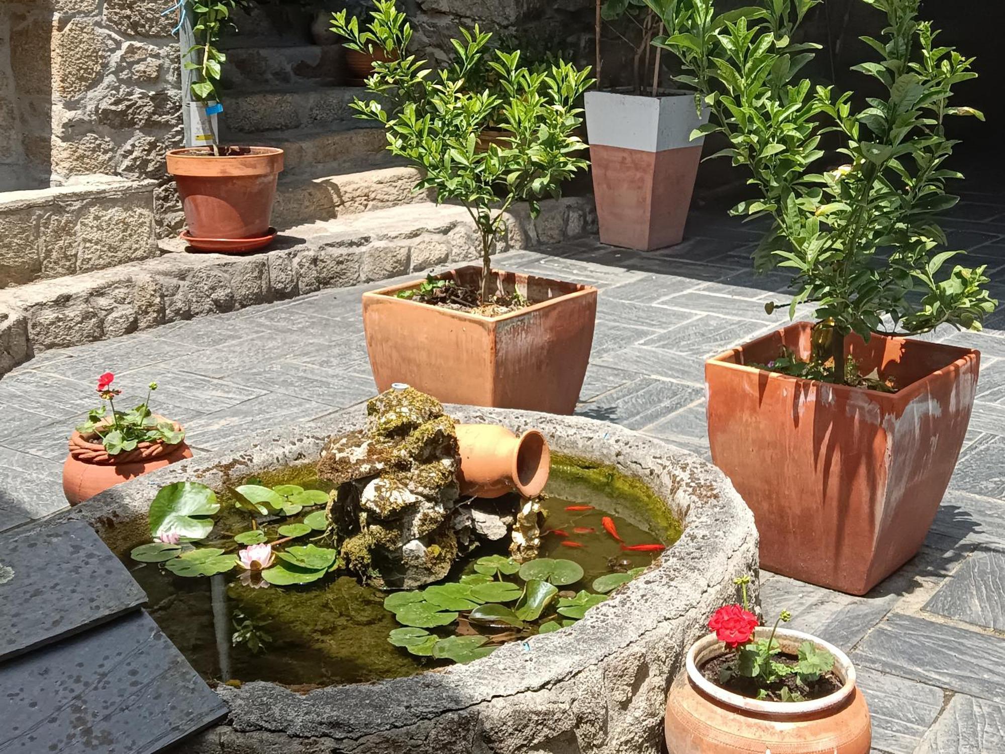 Casa Dos Muros Y Actividades En La Ribeira Sacra Country house *