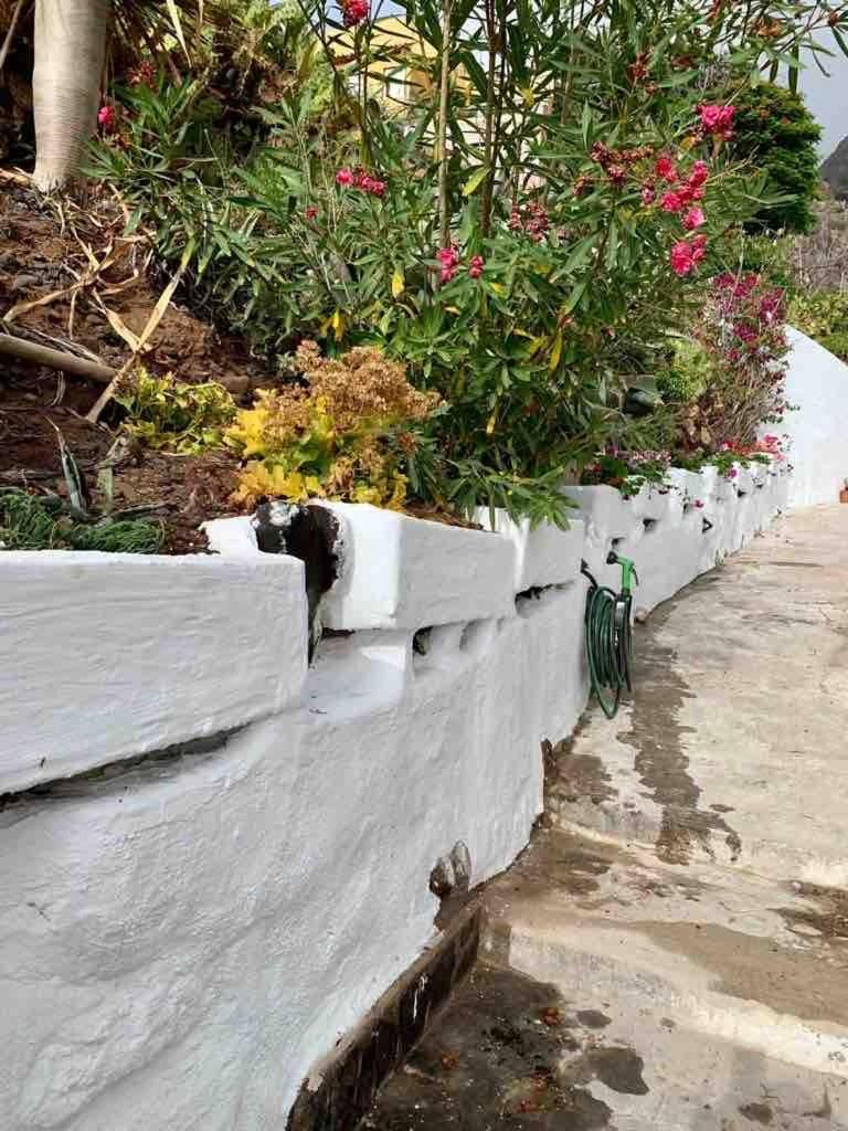 Quiet House With Spectacular Ocean Views Punta Del Hidalgo