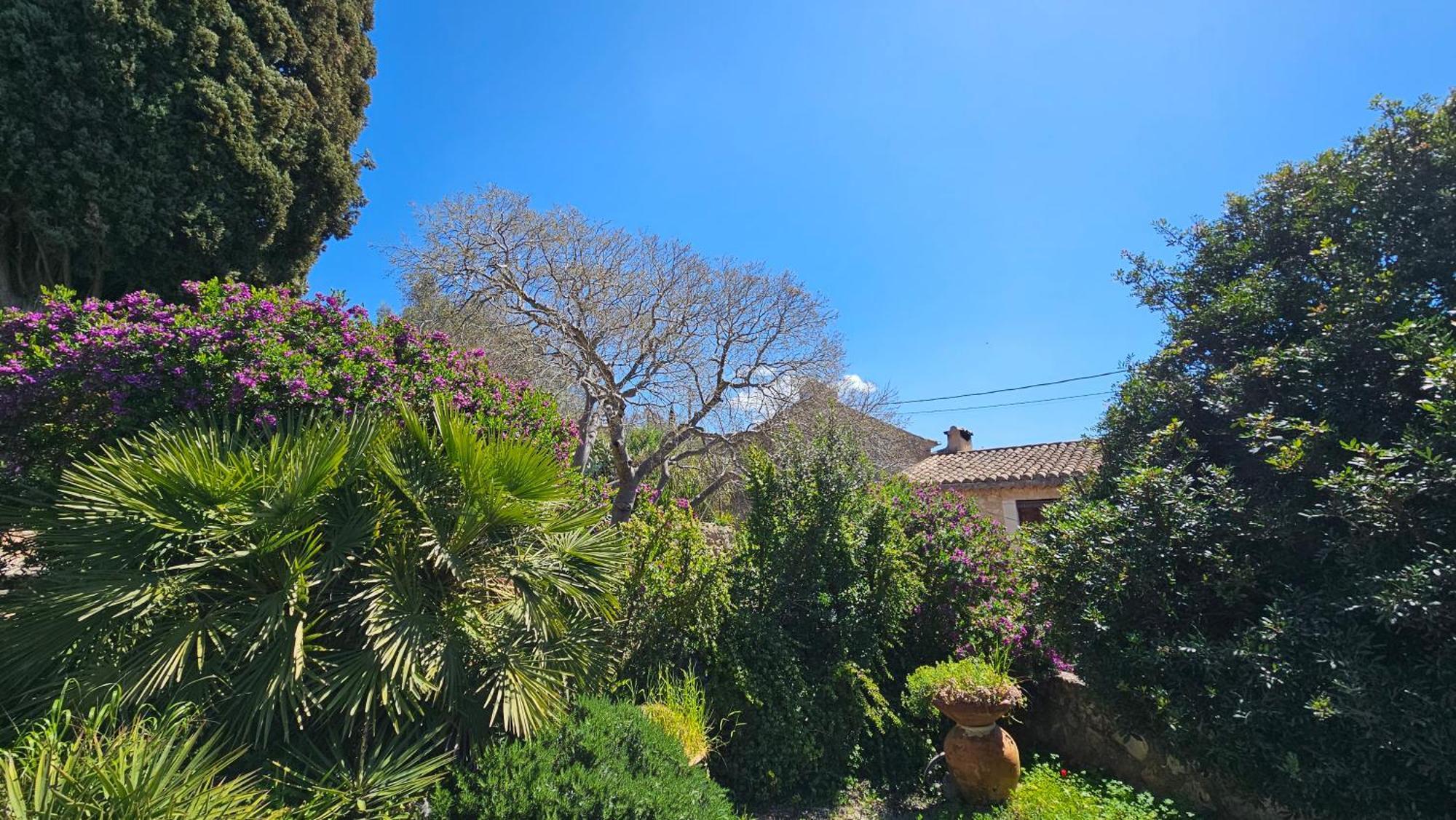 Hotel Asís De Marratxinet