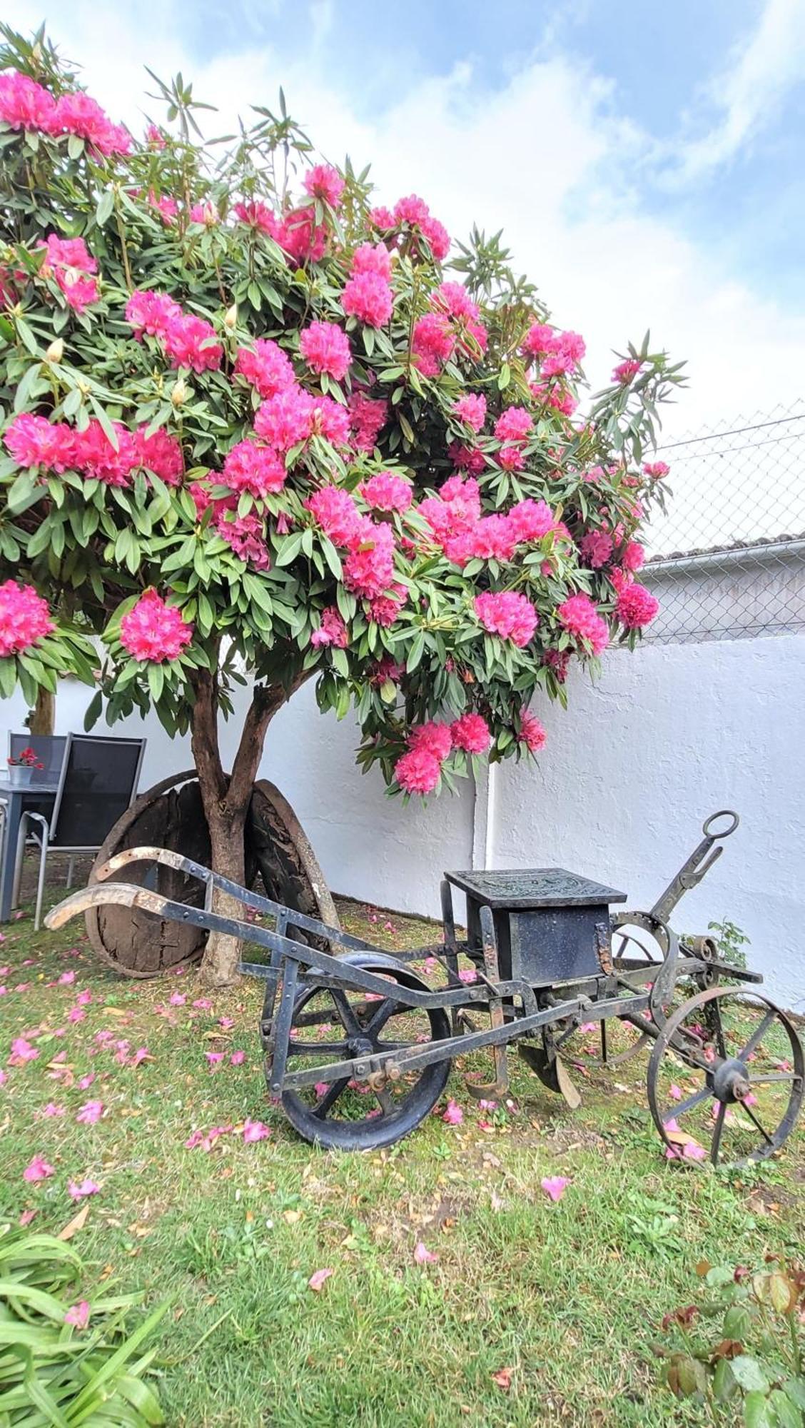 Besbello Apartamento *