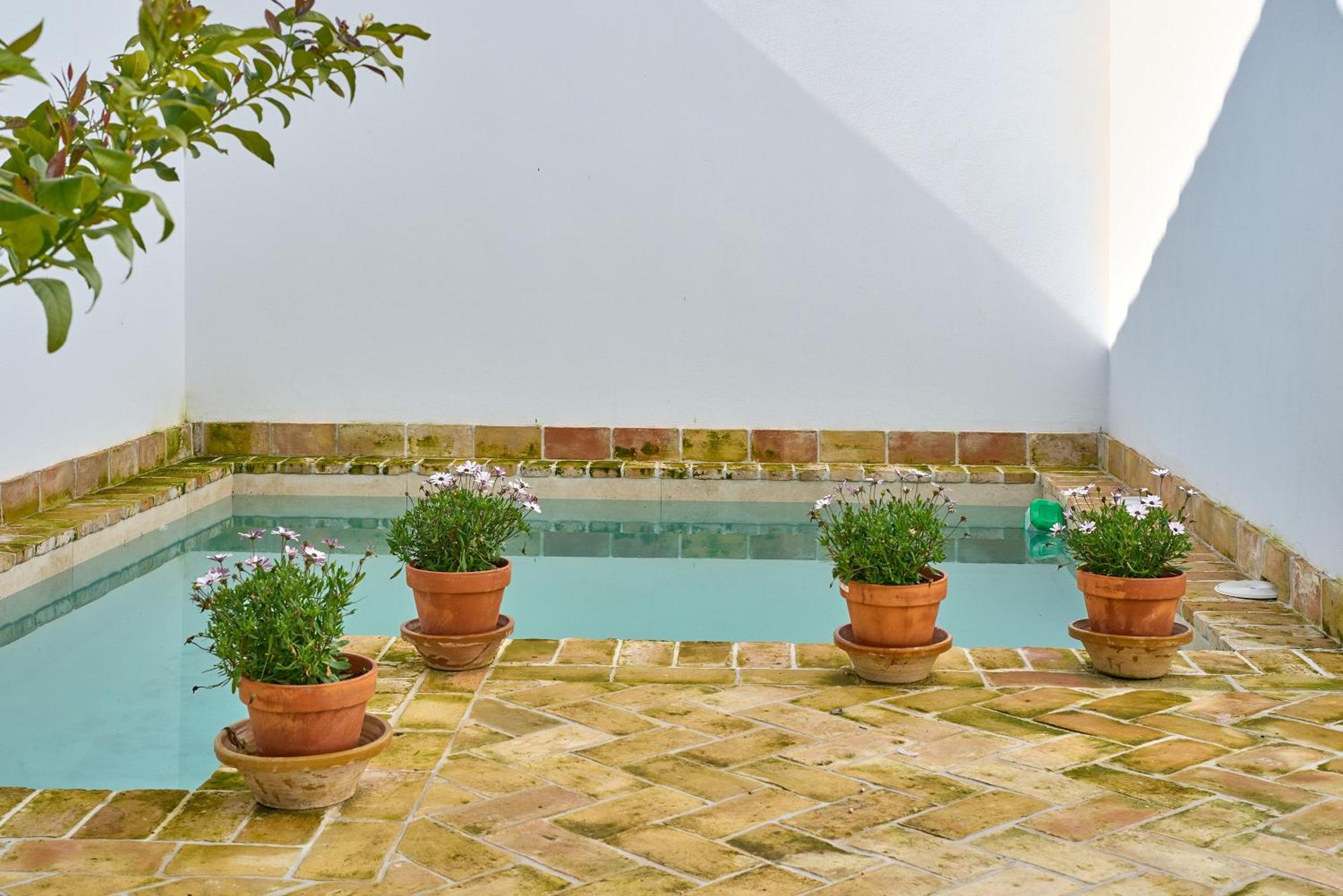 Casa Palacio Vida