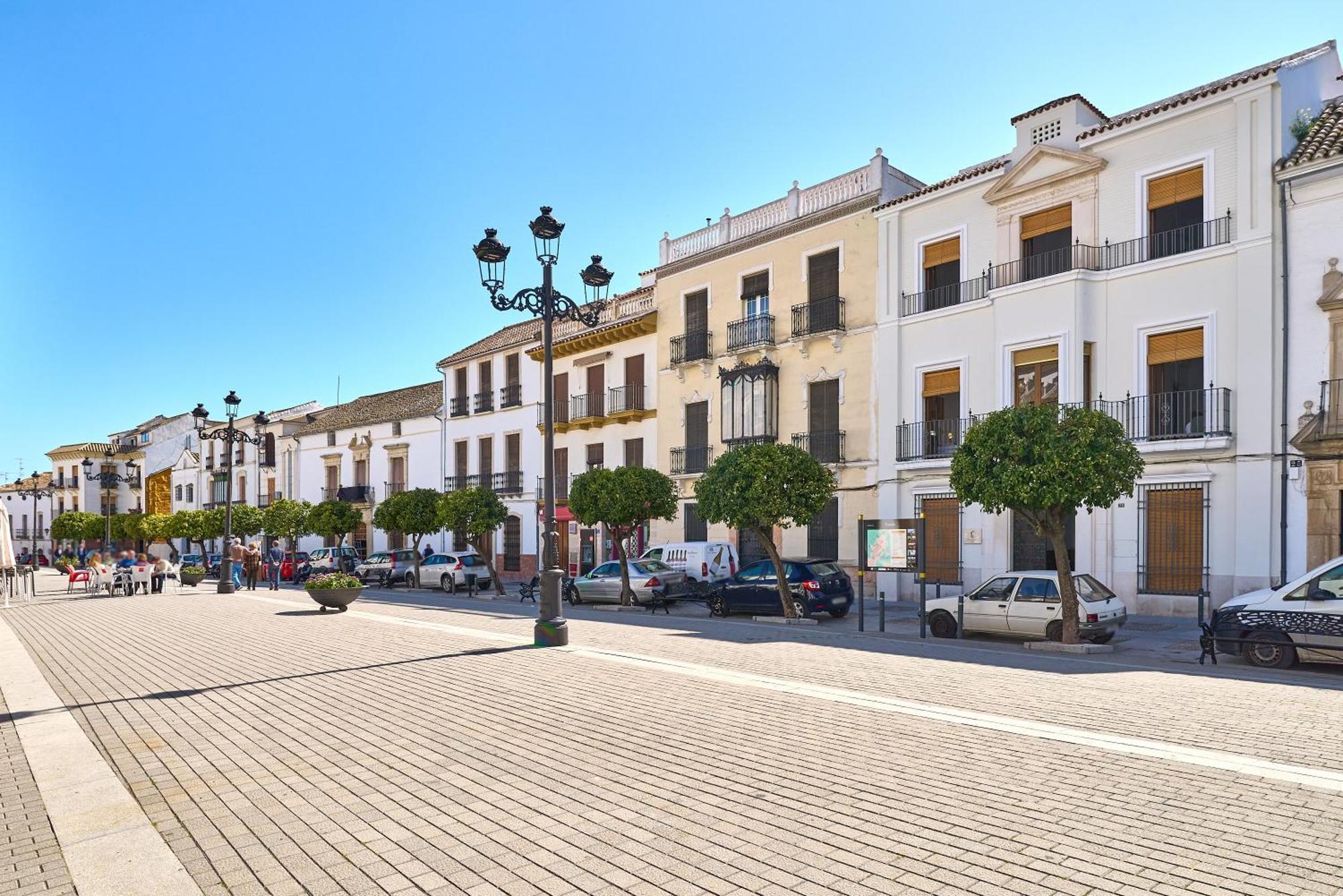Casa Palacio Vida Сasa de vacaciones
