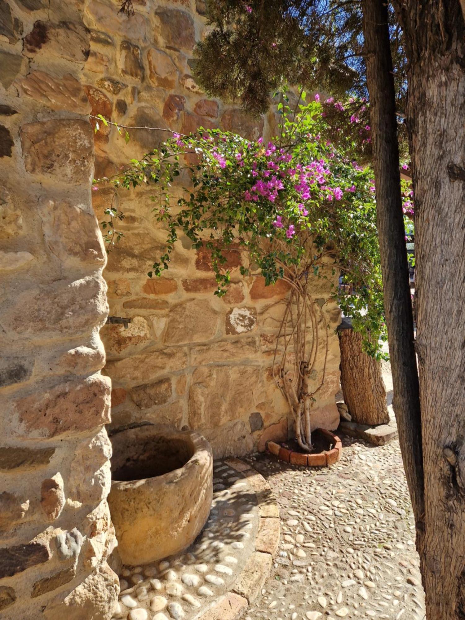 Casa rural Rurales Colonos Guarromán