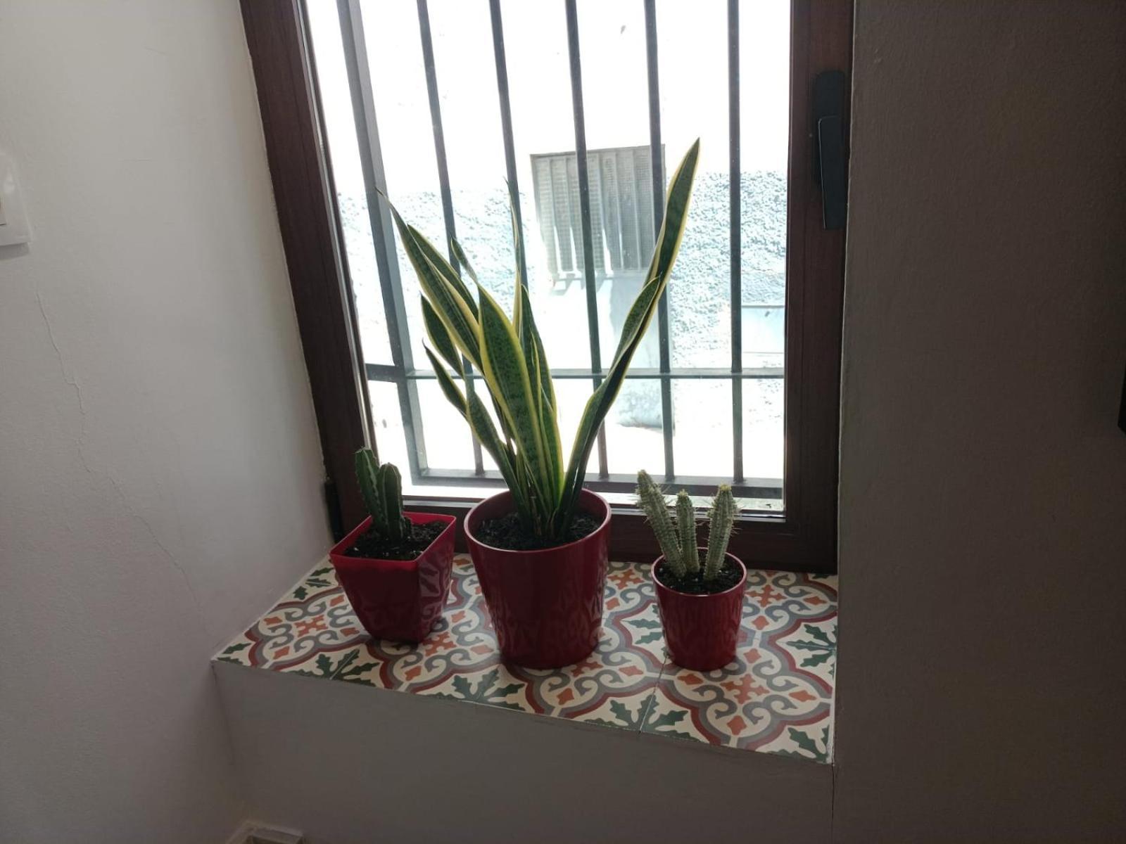 Casa Estilo Vintage En Apartamento