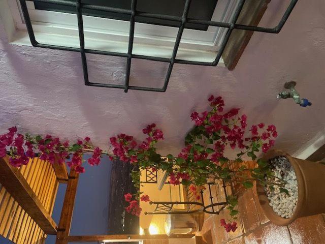 Apartment Casa Abades