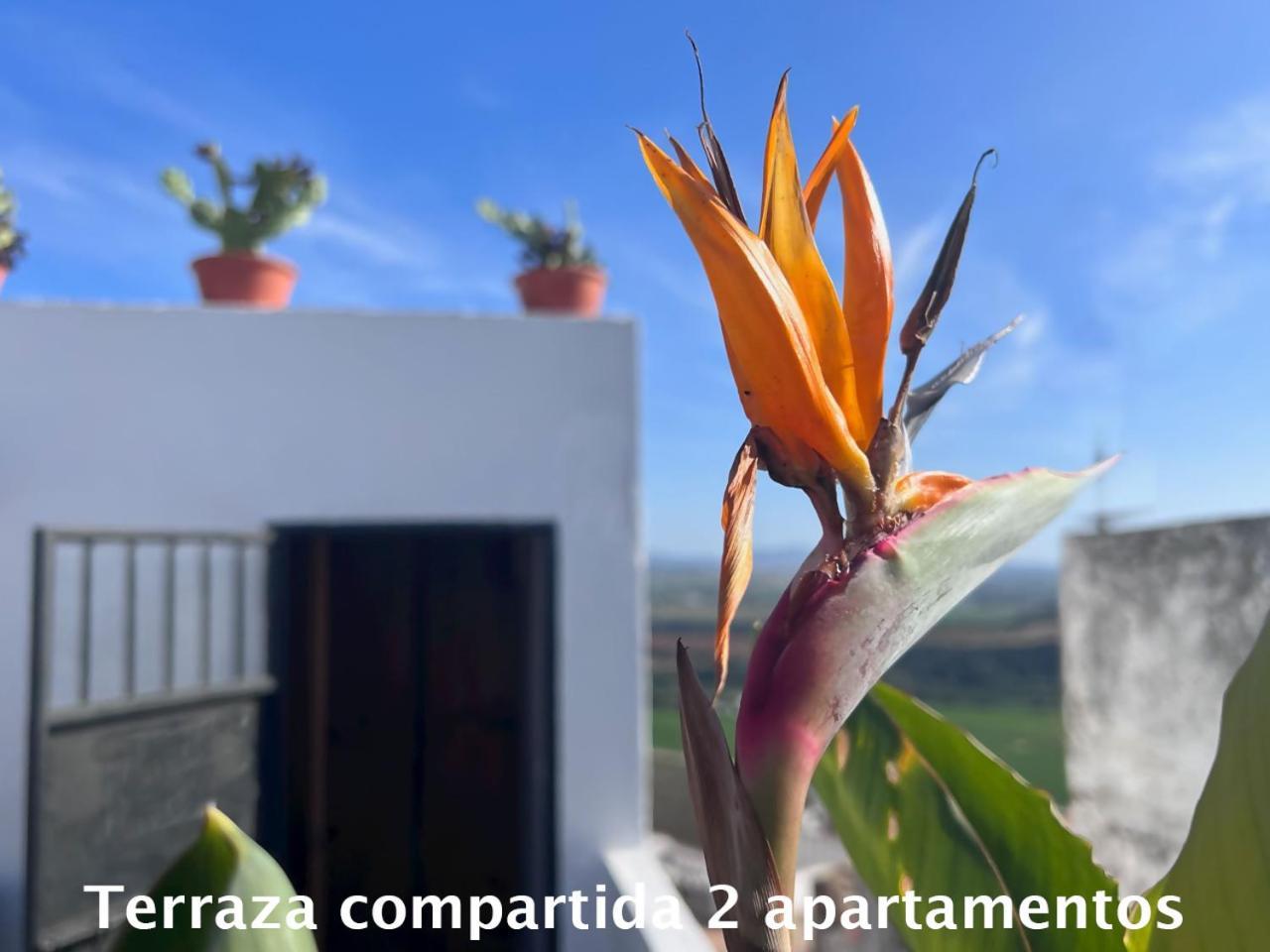Casa Abades Apartment Arcos de la Frontera