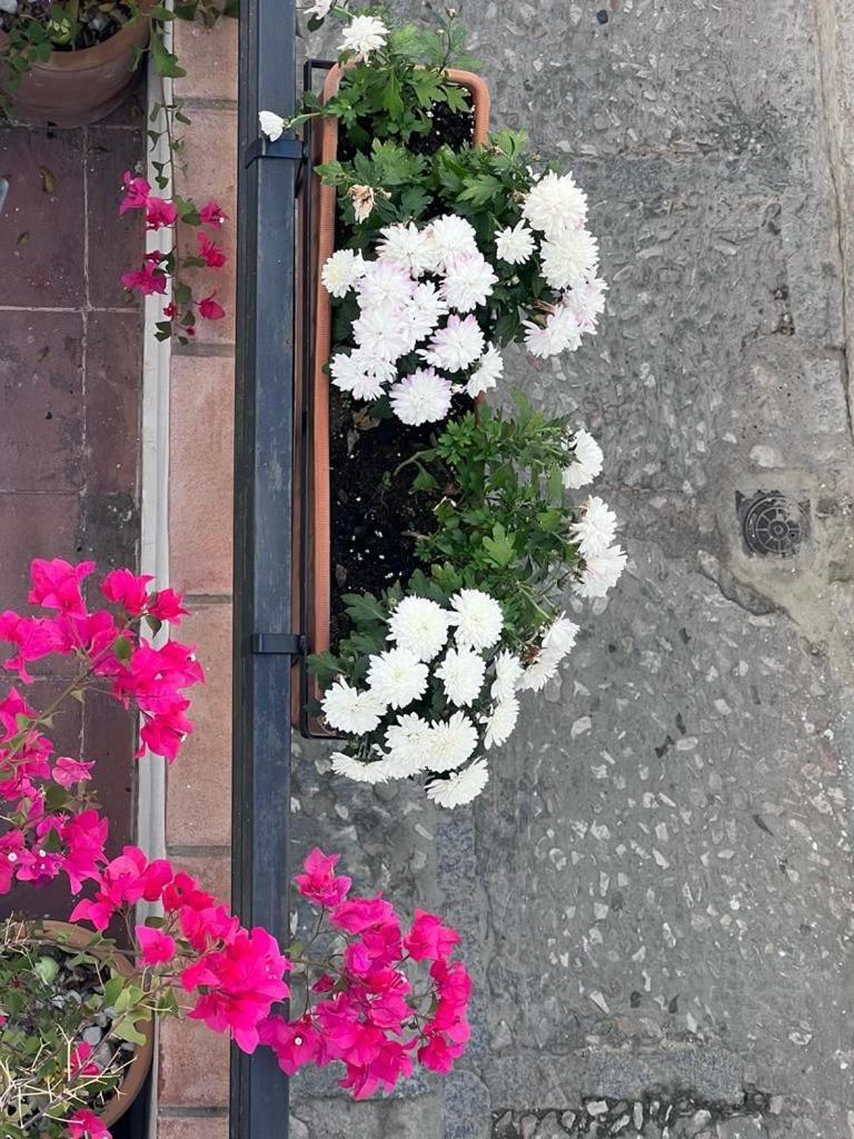 Casa Abades