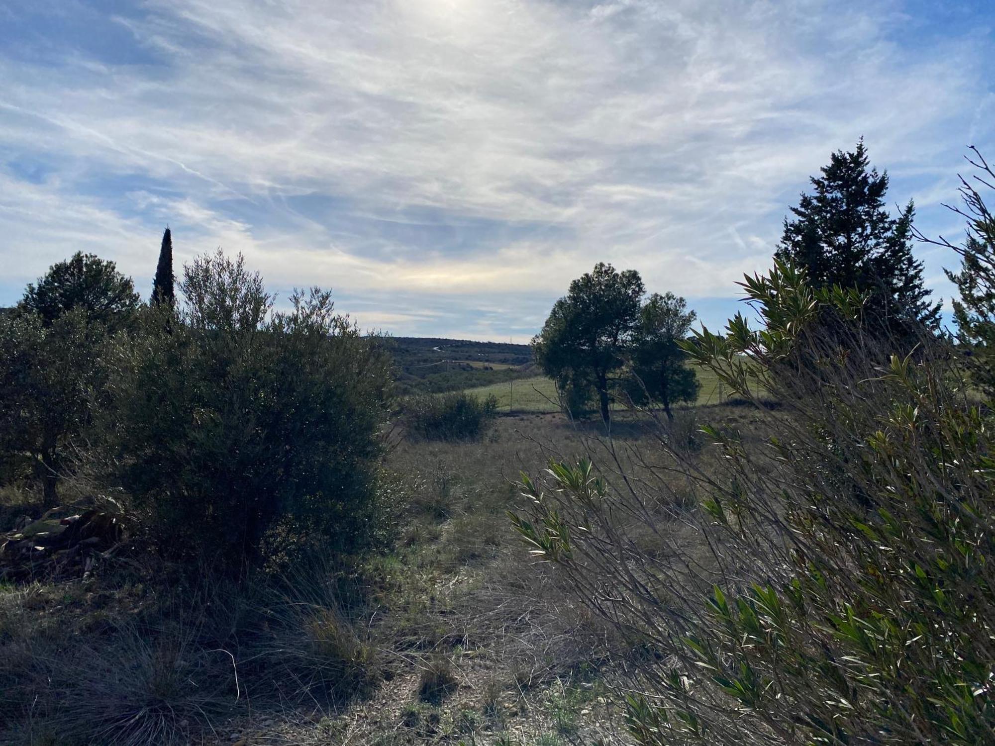 Rnr Bednbreakfast Caspe